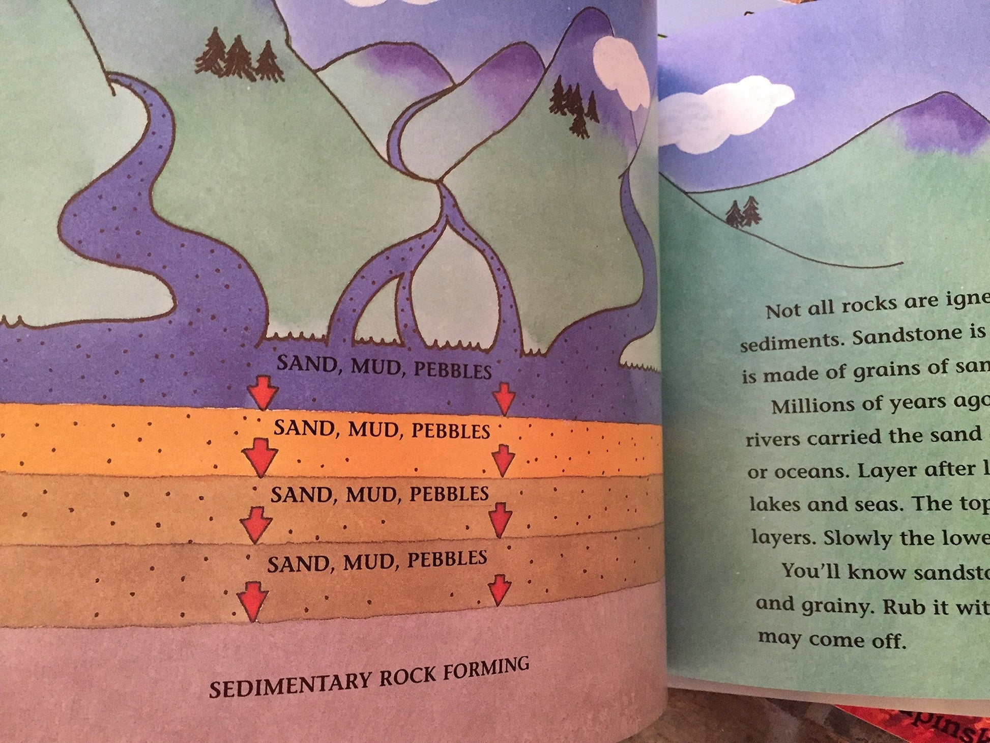 Why Do Leaves Change Color? (Let's-Read-and-Find-Out Science, Stage 2) used book depot
