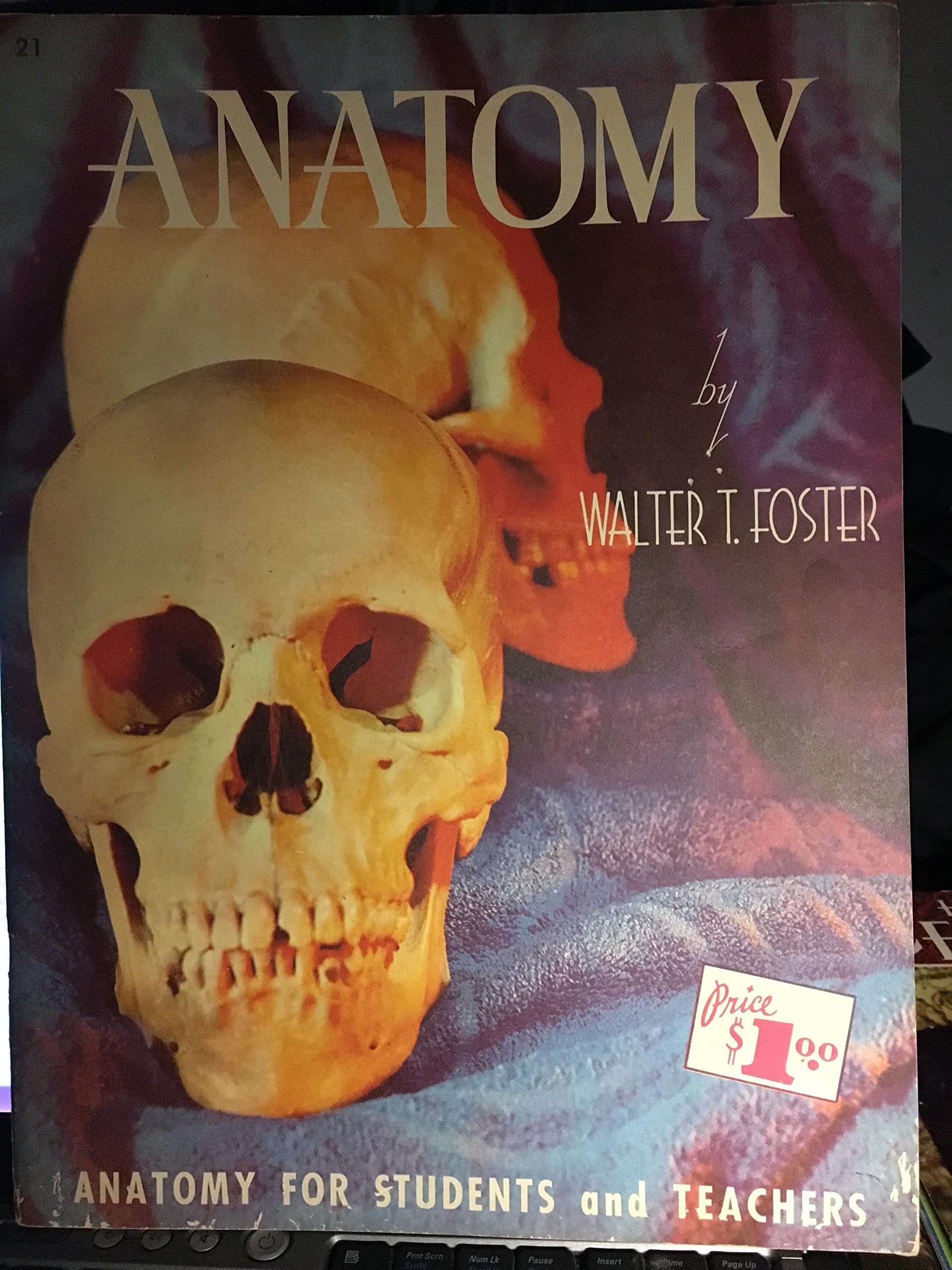 Anatomy (Walter T. Foster Art Serials, 21) used book depot