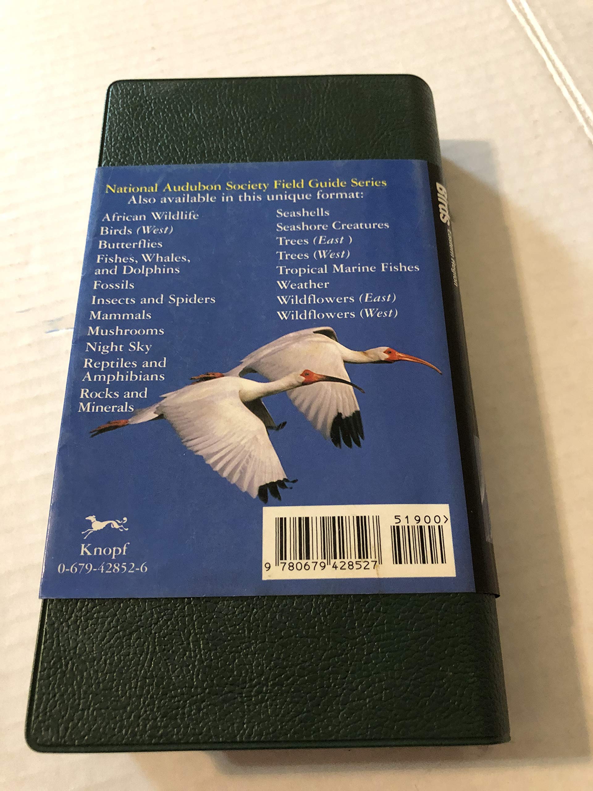 National Audubon Society Field Guide to North American Birds: Eastern Region used book depot