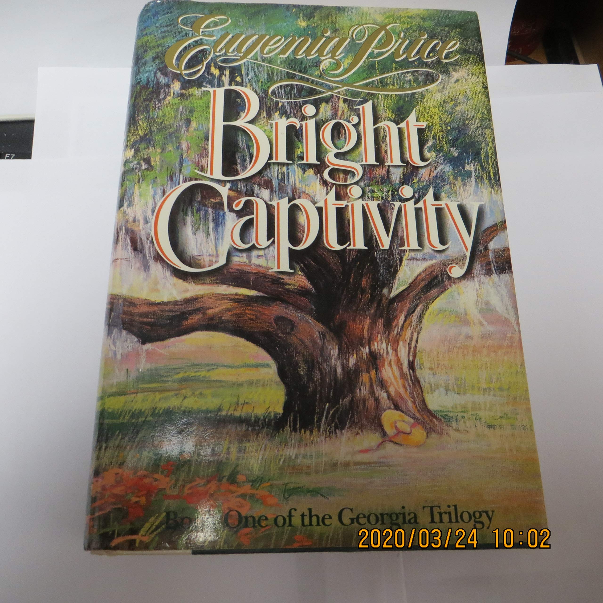 BRIGHT CAPTIVITY (Book One of the Georgia Trilogy) used book depot