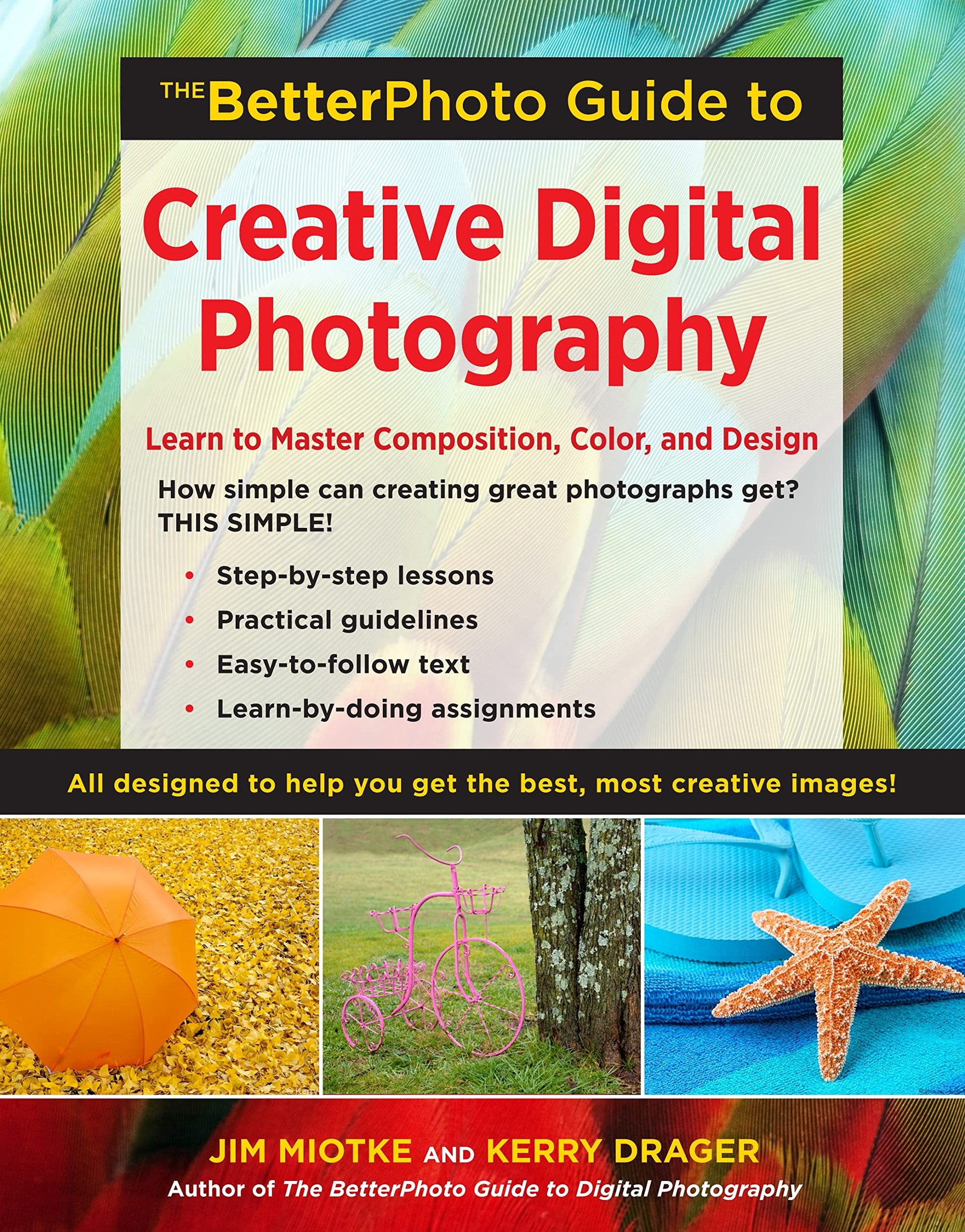 The BetterPhoto Guide to Creative Digital Photography: Learn to Master Composition, Color, and Design used book depot
