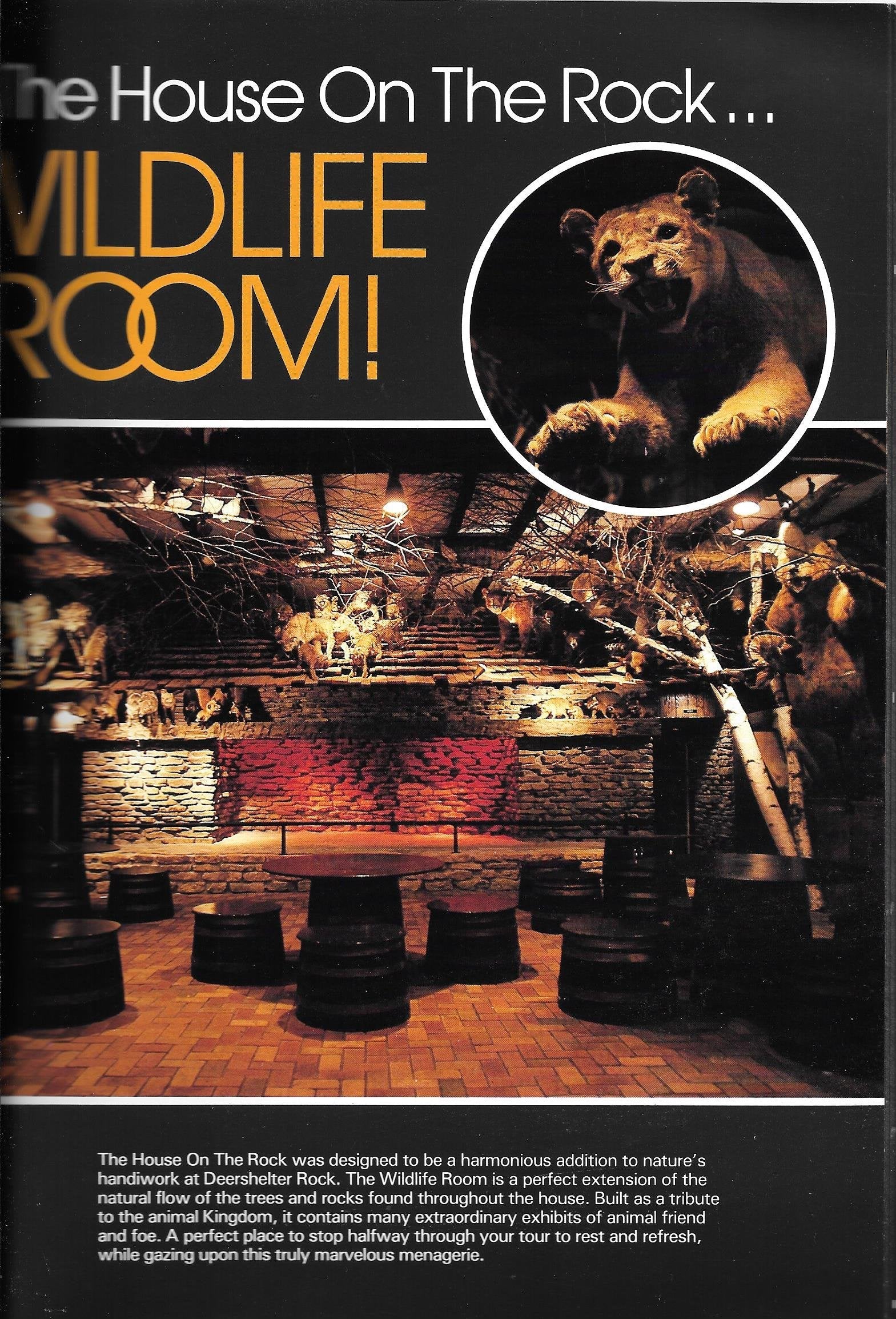 The House on the Rock used book depot