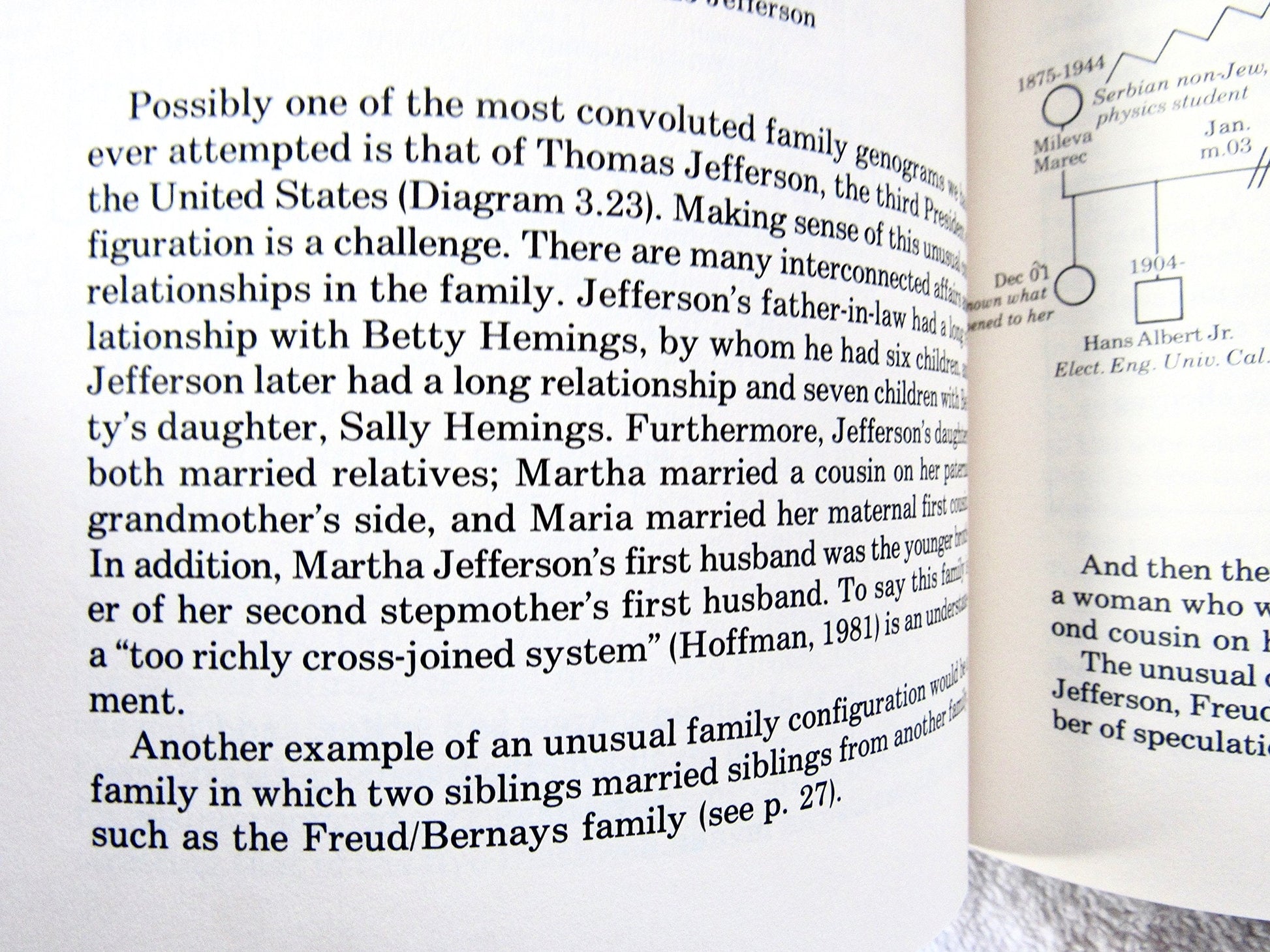 Genograms in Family Assessment used book depot