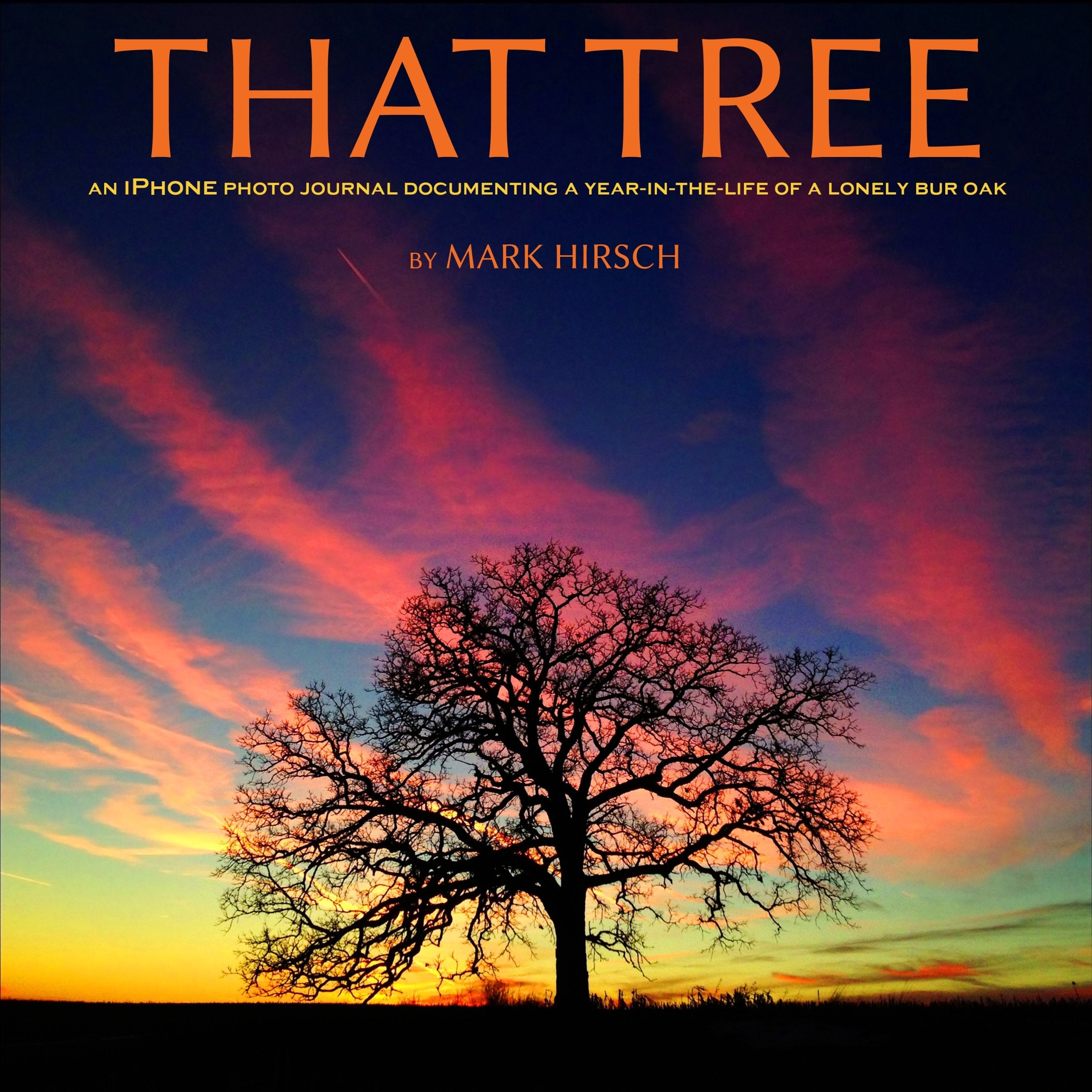 That Tree (That Tree : An iPhone Photo Journal Documenting a Year in the Life of a Lonely Bur Oak) used book depot