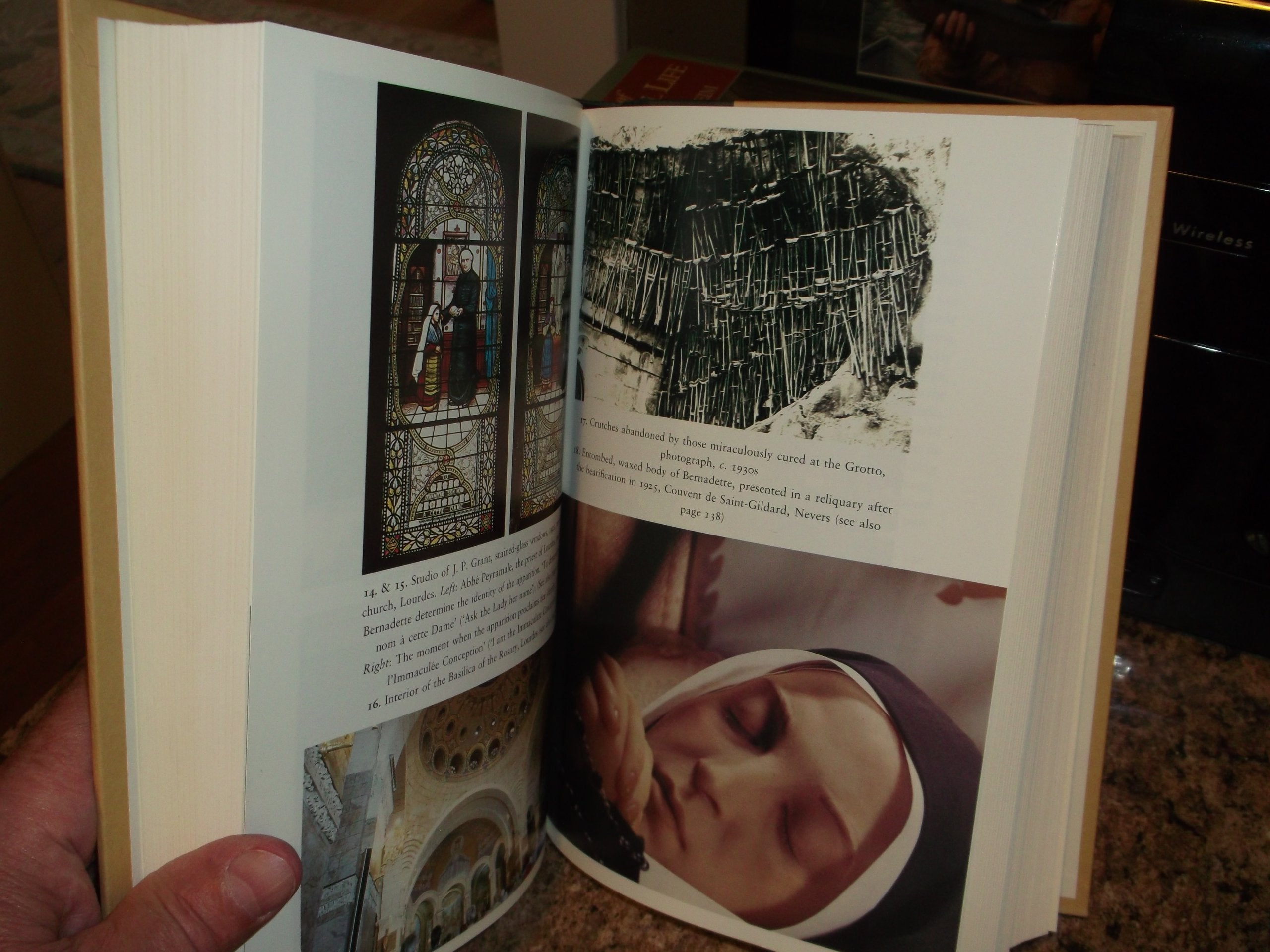 Lourdes: Body and Spirit in the Secular Age used book depot