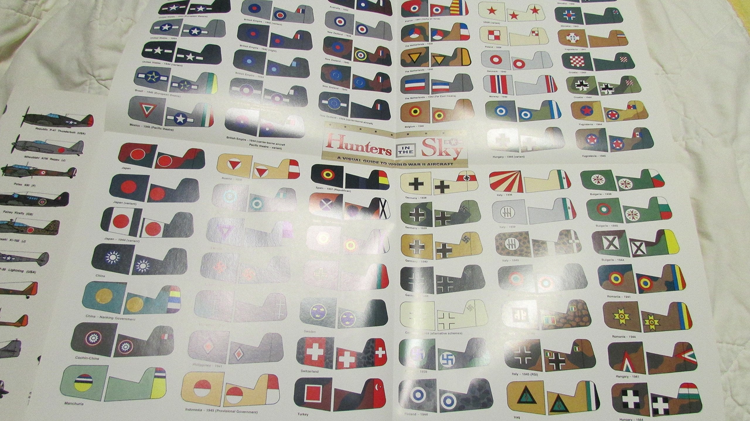 Hunters in the Sky: A Visual Guide to World War II Aircraft used book depot