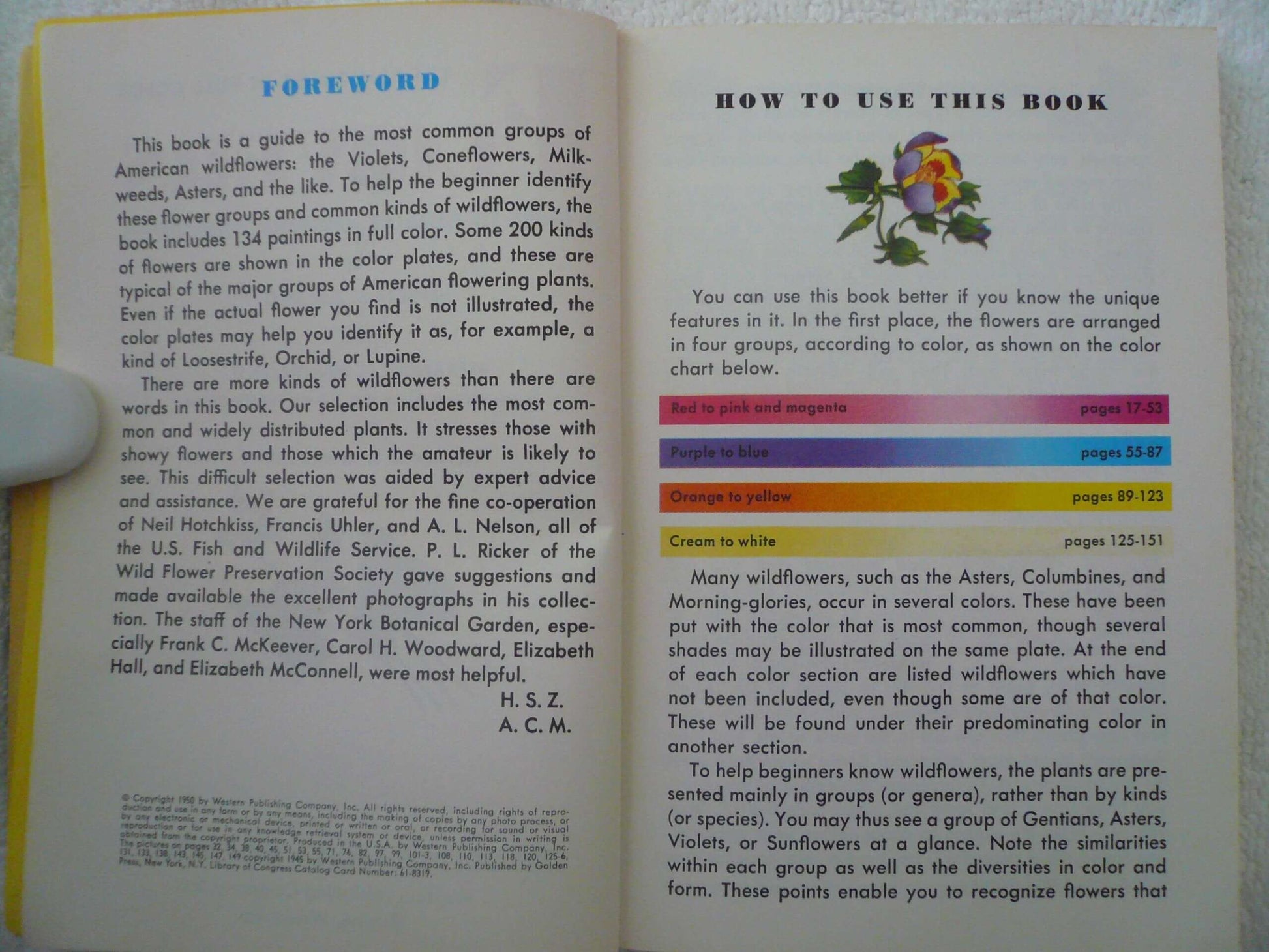 Flowers: A Guide to Familiar Amercian Wildflowers used book depot