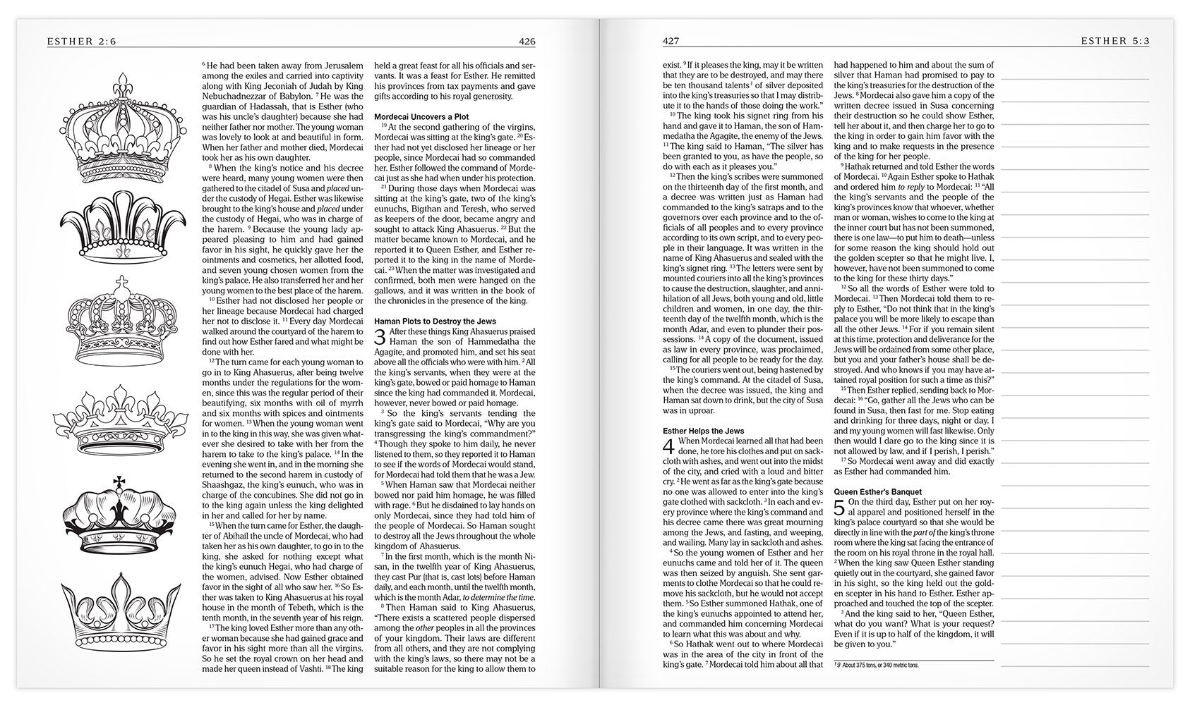 The MEV Promises of God Creative Journaling Bible: Modern English Version used book depot
