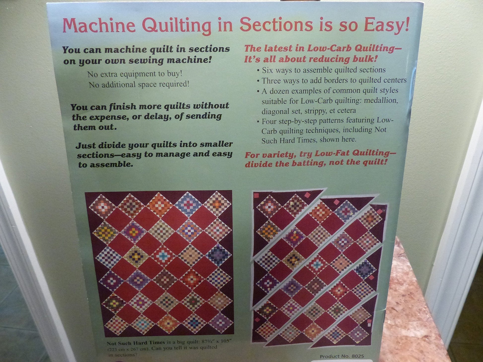 Machine Quilting in Sections used book depot