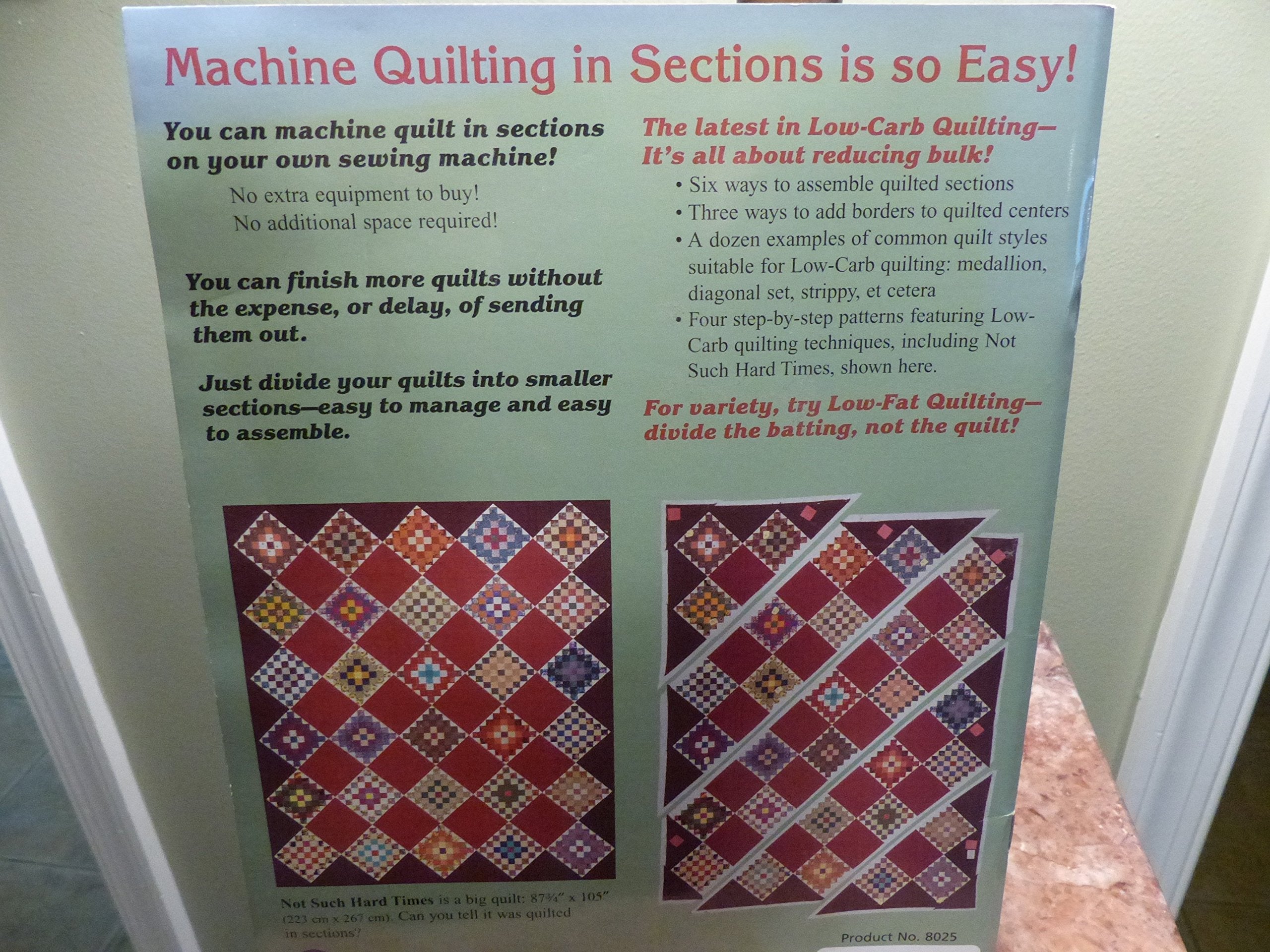 Machine Quilting in Sections used book depot