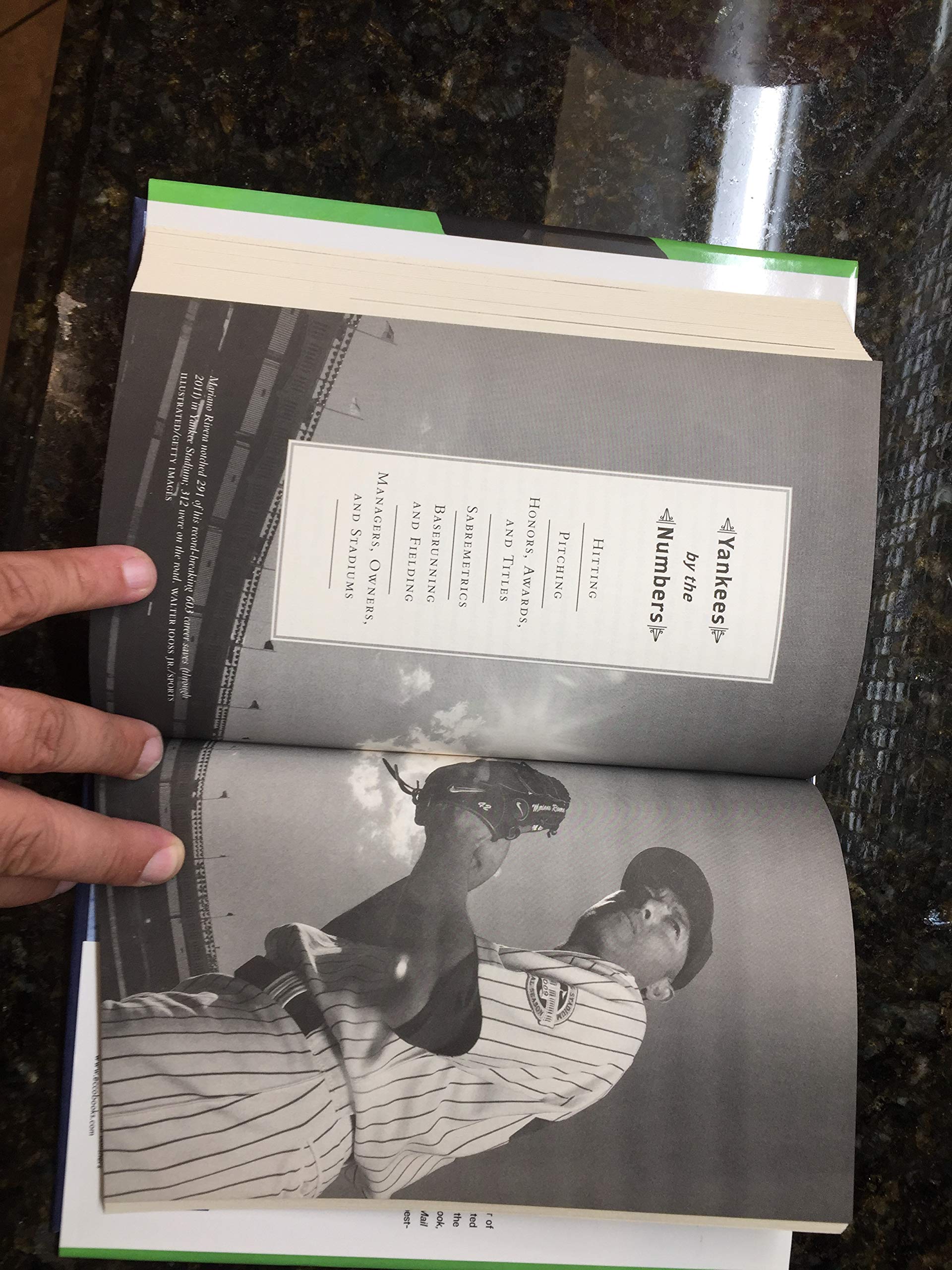 Damn Yankees: Twenty-Four Major League Writers on the World's Most Loved (and Hated) Team used book depot