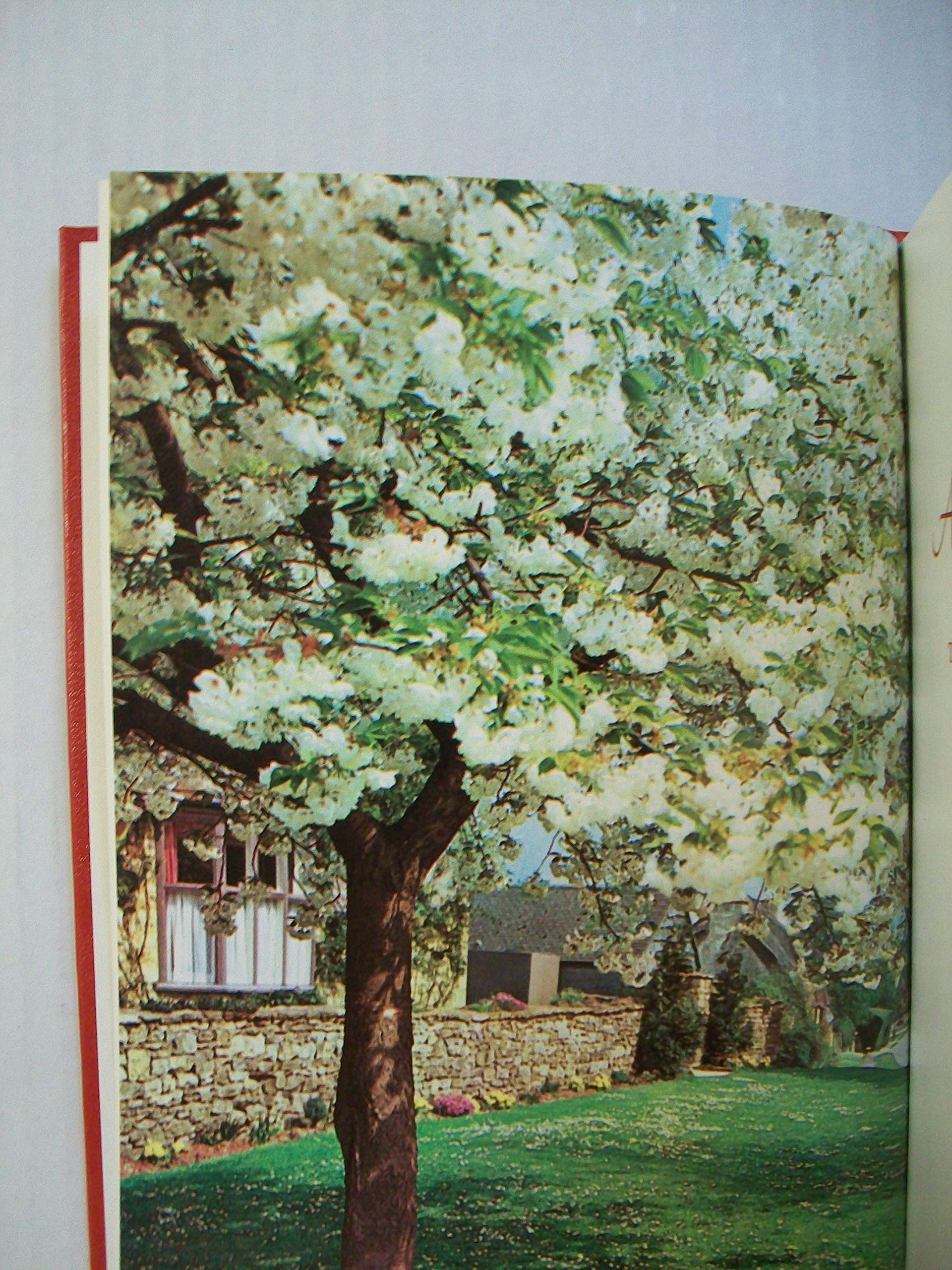An Apple a Day: Treasured Selections from Apples of Gold used book depot