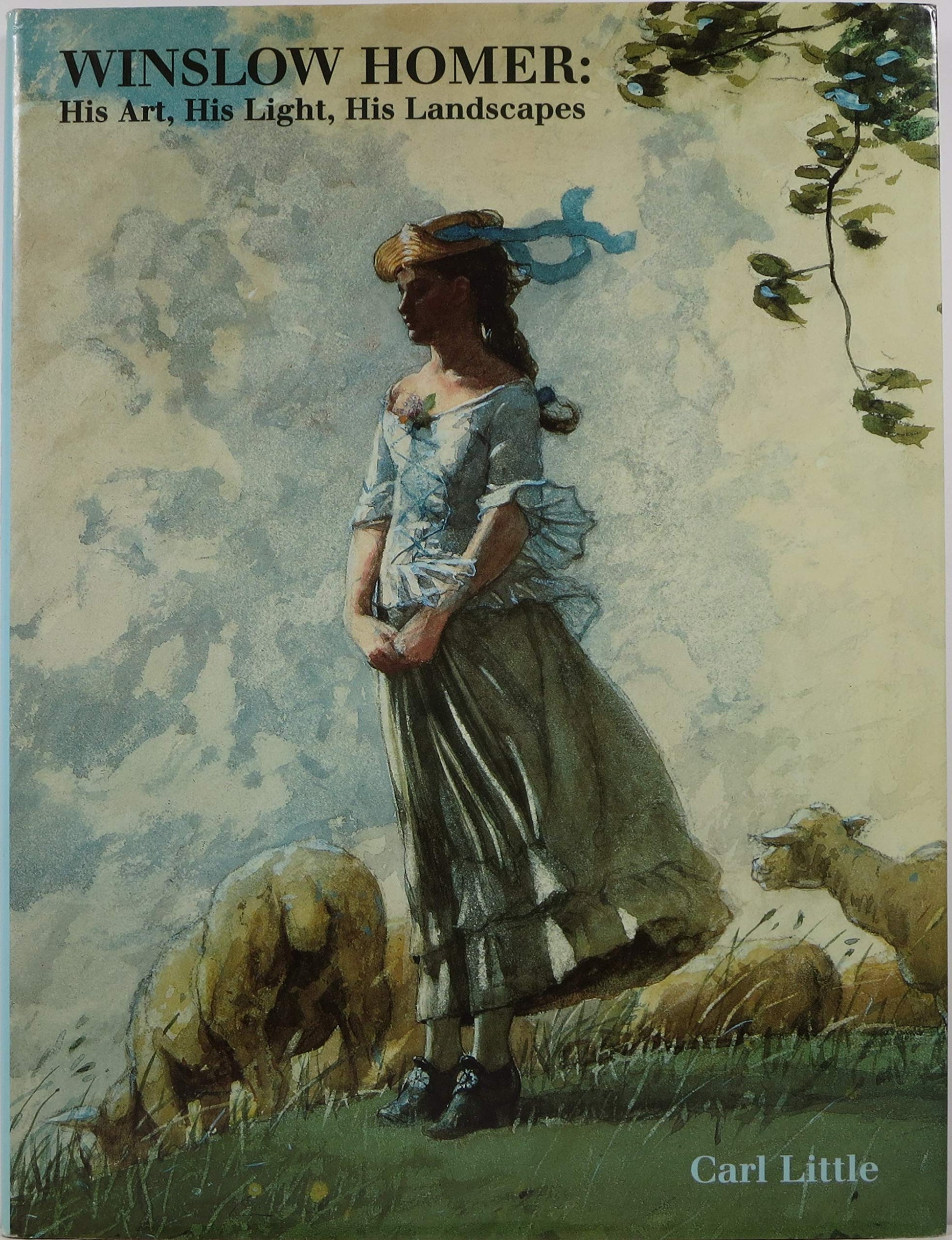 Winslow Homer: His Art, His Light, His Landscapes used book depot
