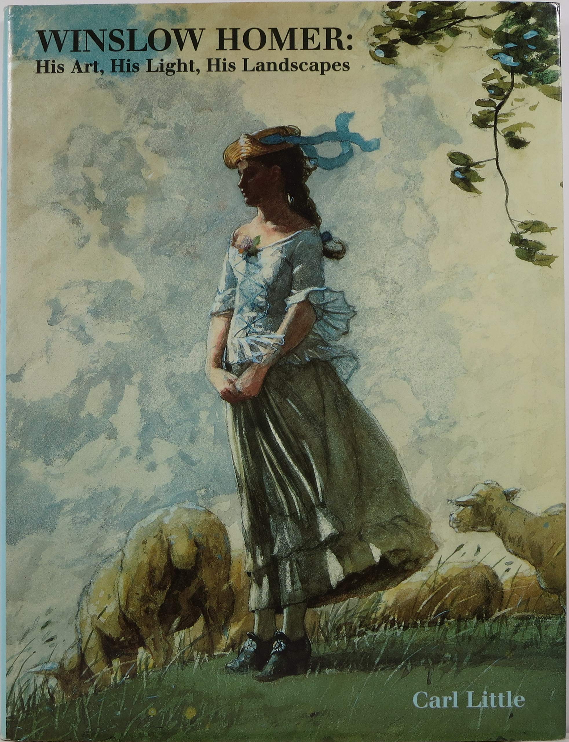 Winslow Homer: His Art, His Light, His Landscapes used book depot