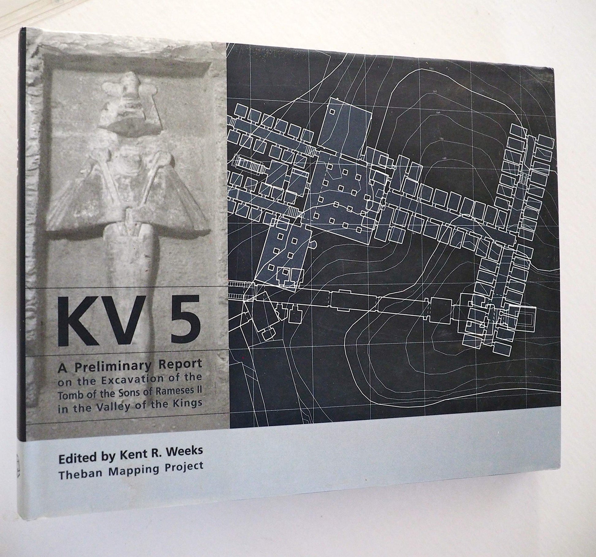 KV5: A Preliminary Report on the Excavation of the Tomb of the Sons of Ramesses II in the Valley of the Kings. used book depot