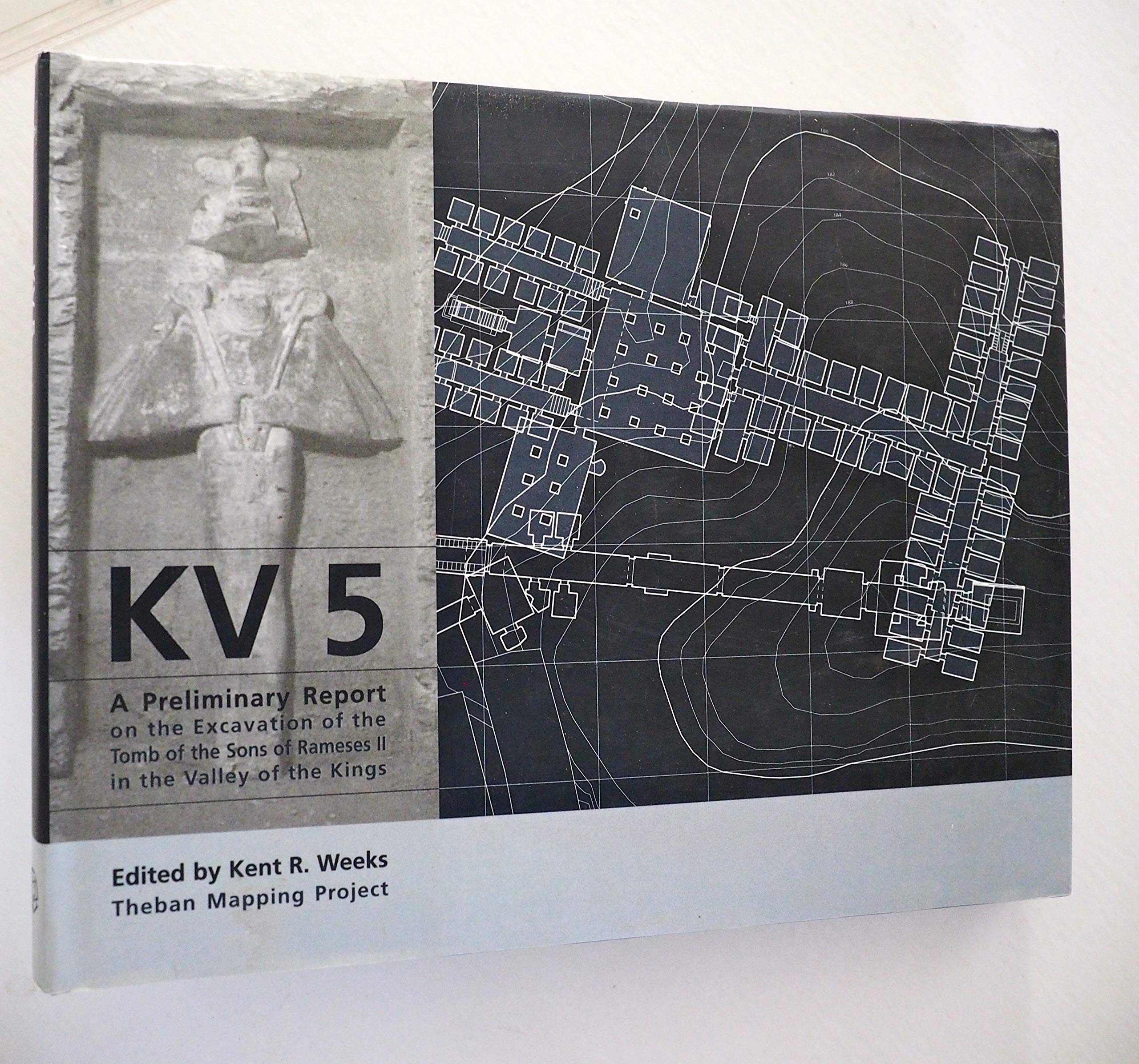 KV5: A Preliminary Report on the Excavation of the Tomb of the Sons of Ramesses II in the Valley of the Kings. used book depot