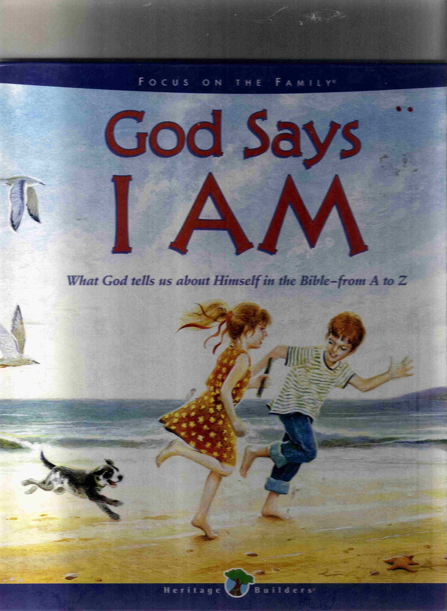 God Says I Am: What God Tells Us About Himself in the Bible from A to Z (Heritage Builders) used book depot