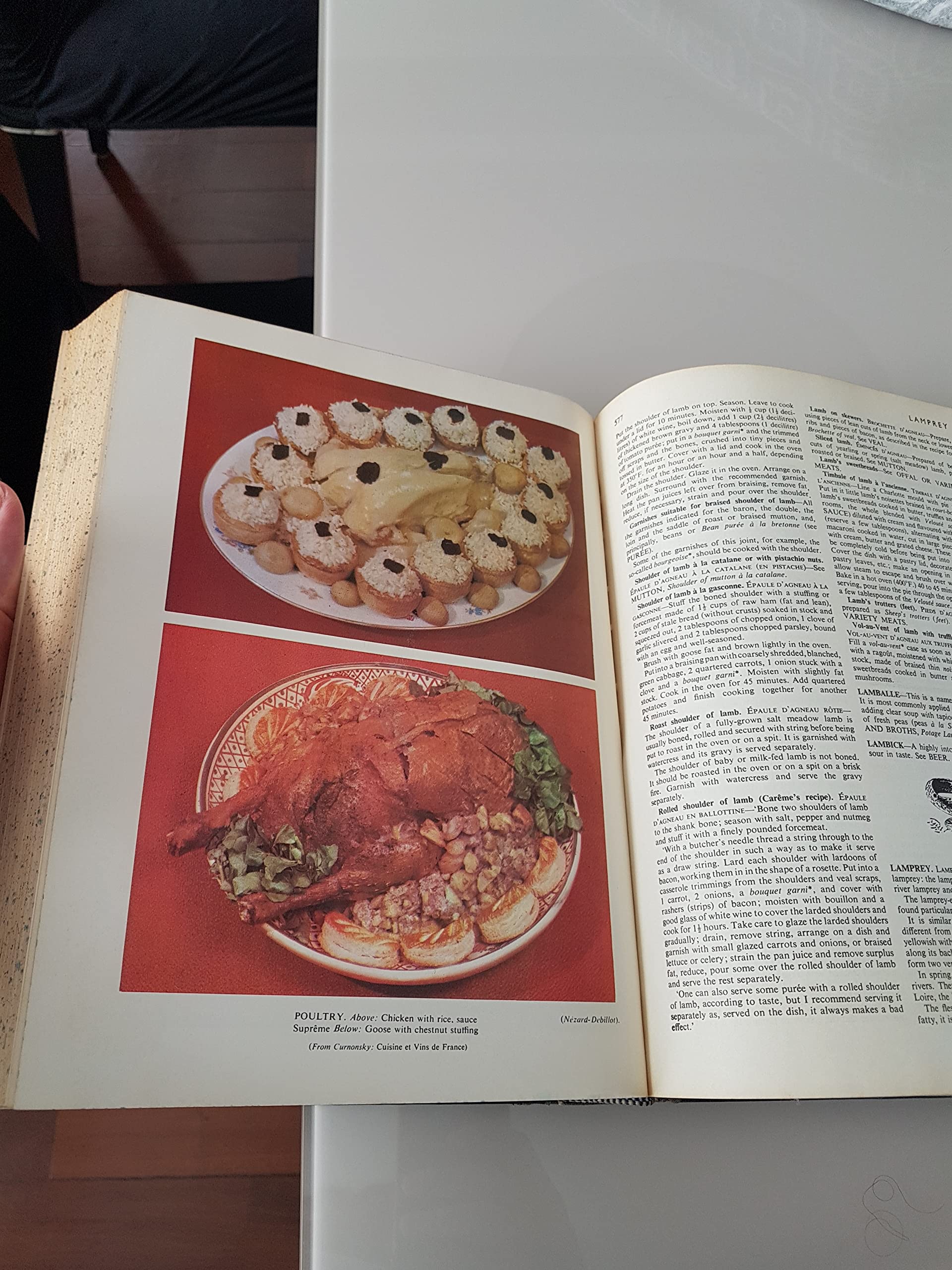 Larousse Gastronomique used book depot