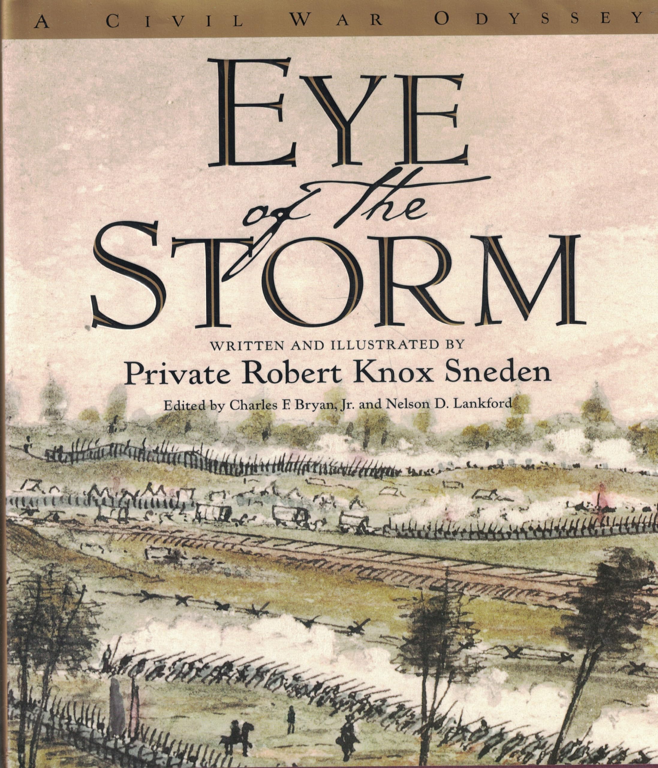 Eye Of The Storm: A Civil War Odyssey used book depot