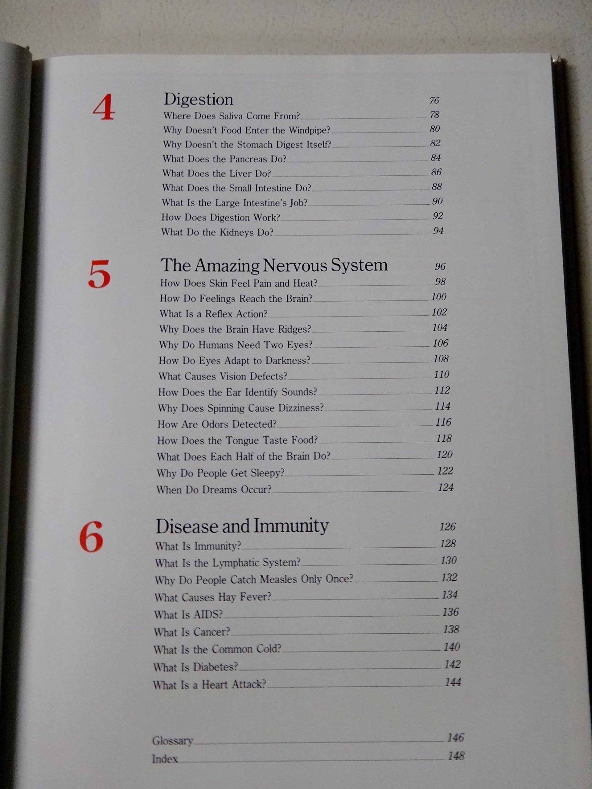 Human Body (Understanding Science and Nature) used book depot