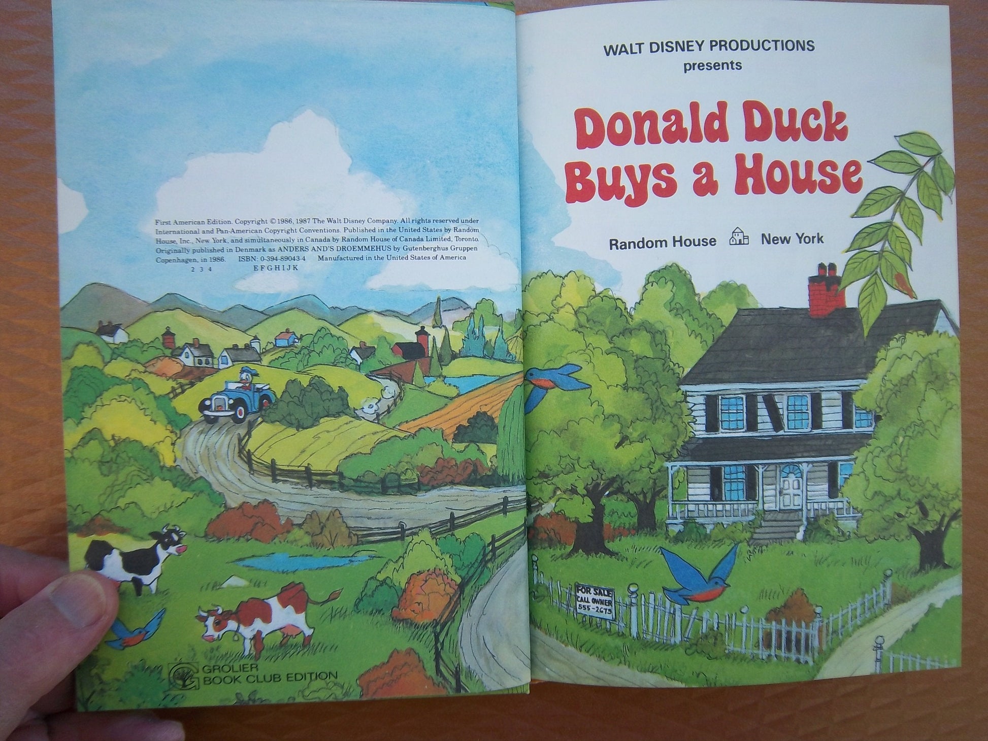 Donald Duck Buys a House (Disney's Wonderful World of Reading) used book depot