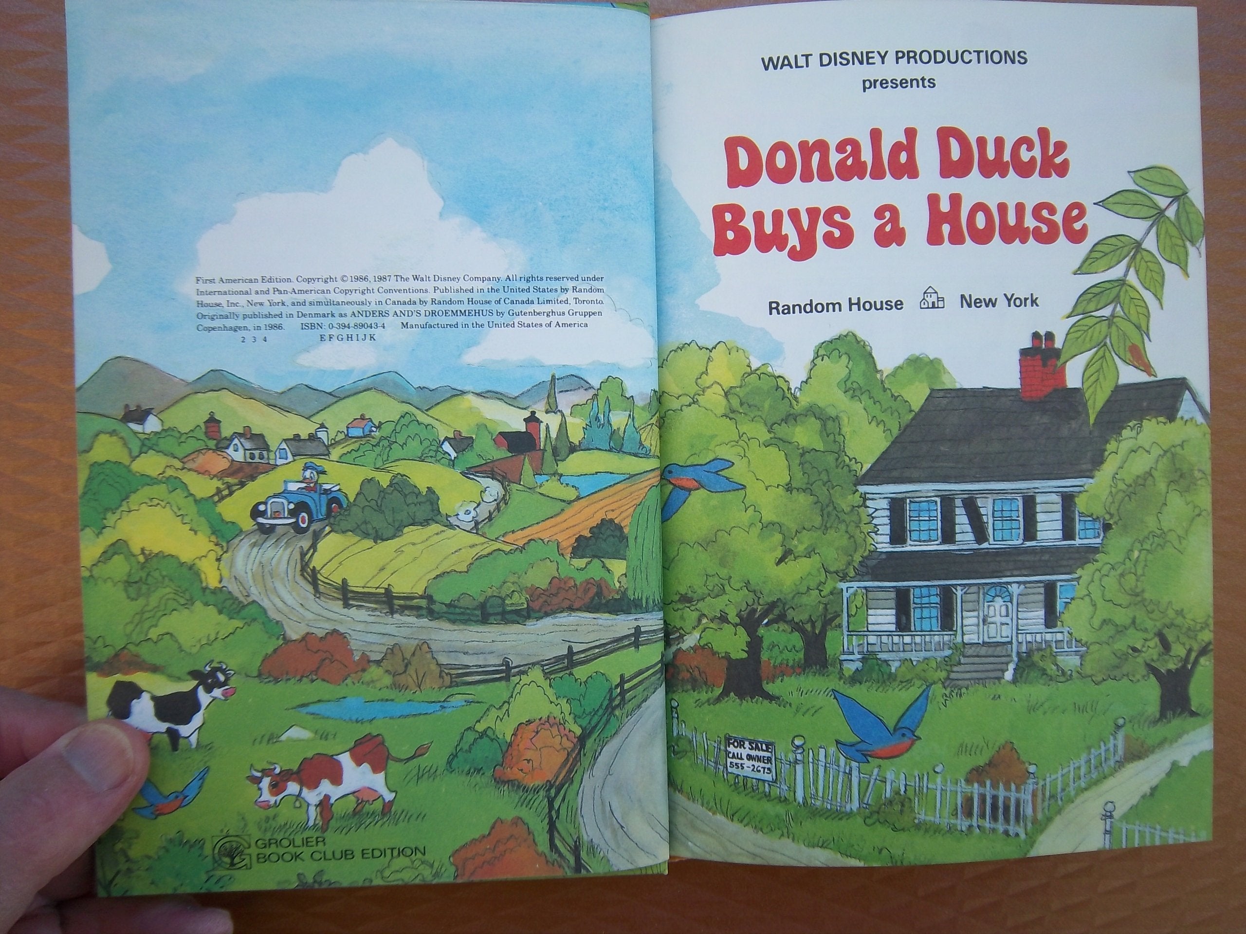 Donald Duck Buys a House (Disney's Wonderful World of Reading) used book depot