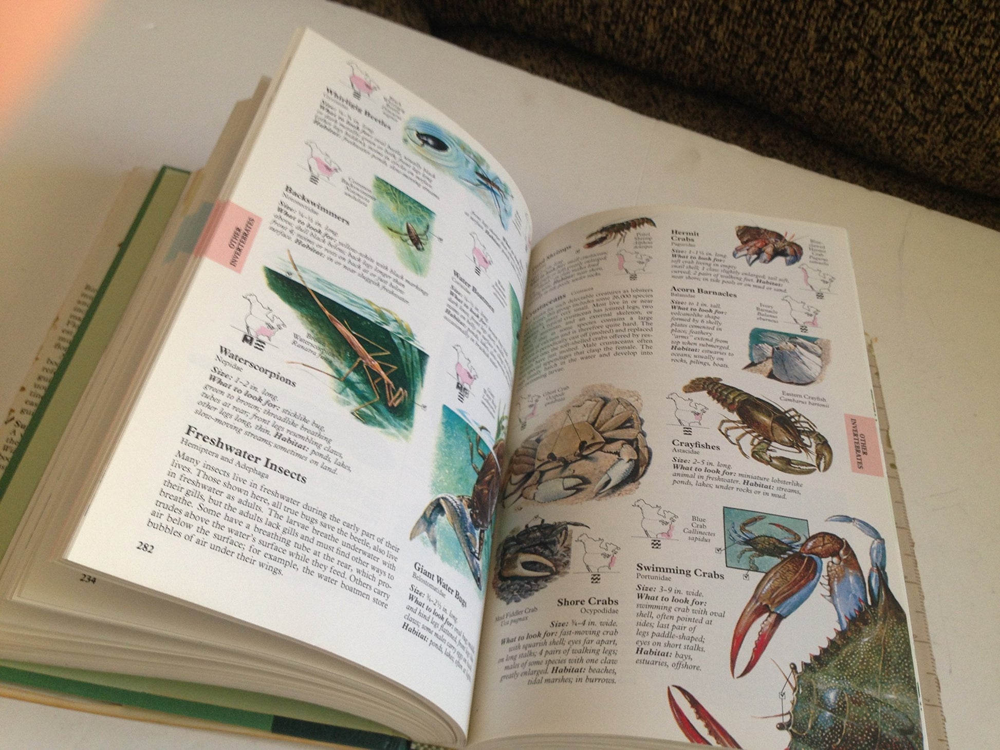 Reader's Digest North American Wildlife used book depot