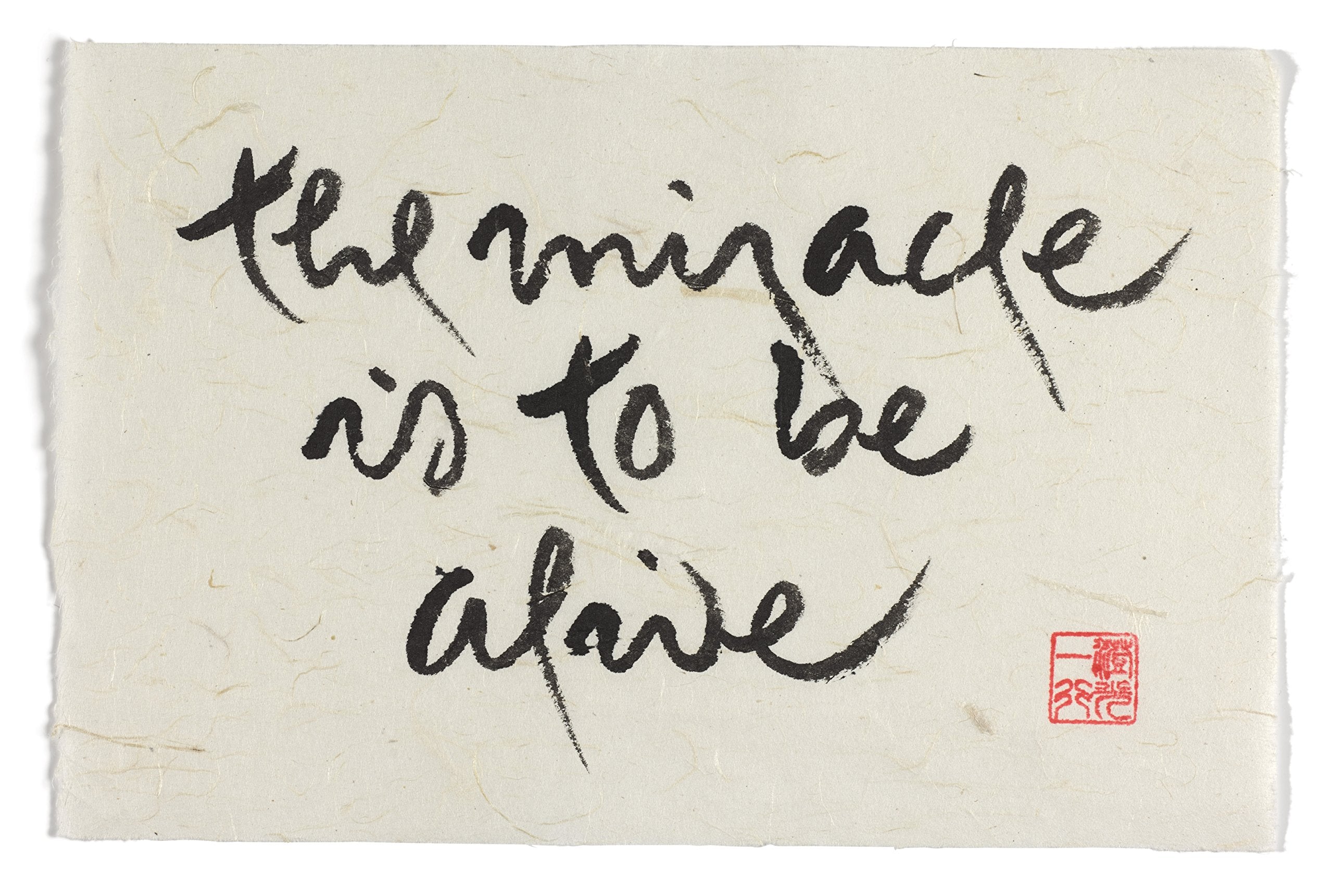 This Moment Is Full of Wonders: The Zen Calligraphy of Thich Nhat Hanh used book depot