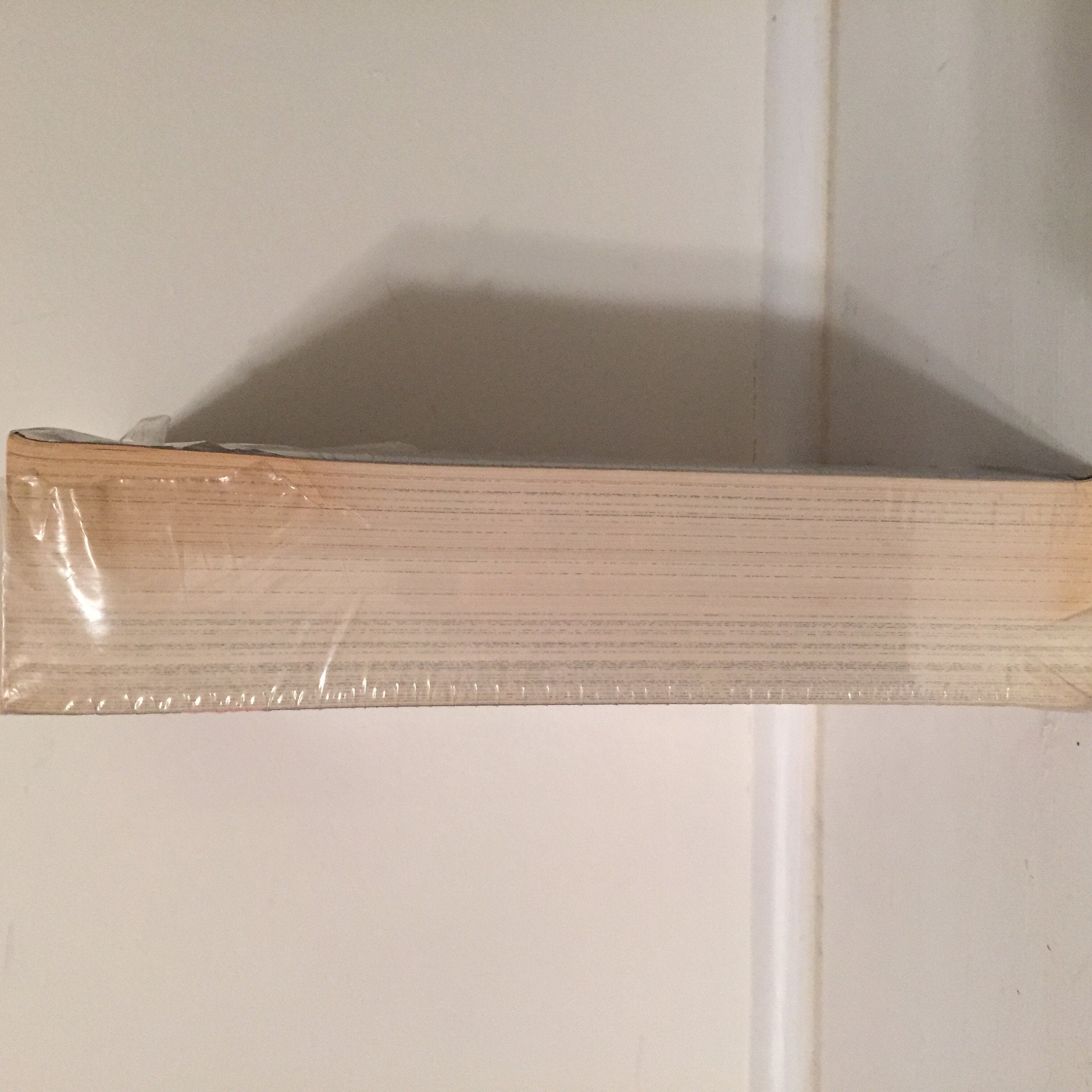The Stand Complete and Uncut used book depot