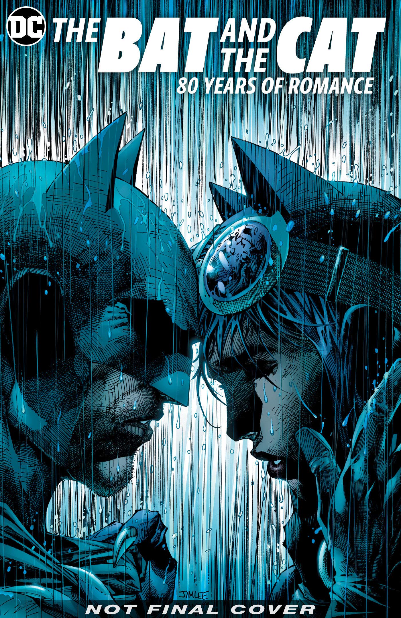 Batman: The Bat and the Cat 80 Years of Romance used book depot