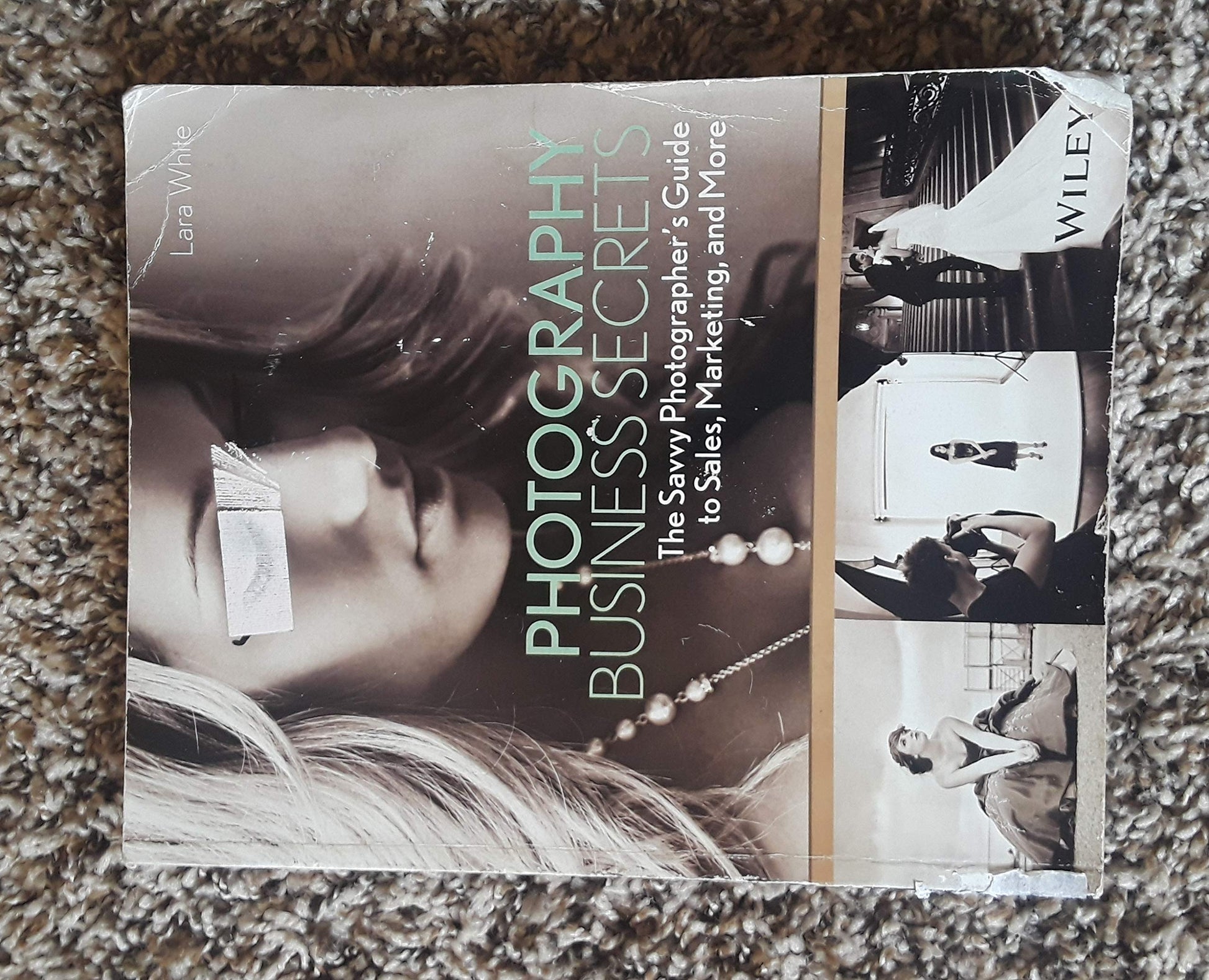 Photography Business Secrets: The Savvy Photographer's Guide to Sales, Marketing, and More used book depot