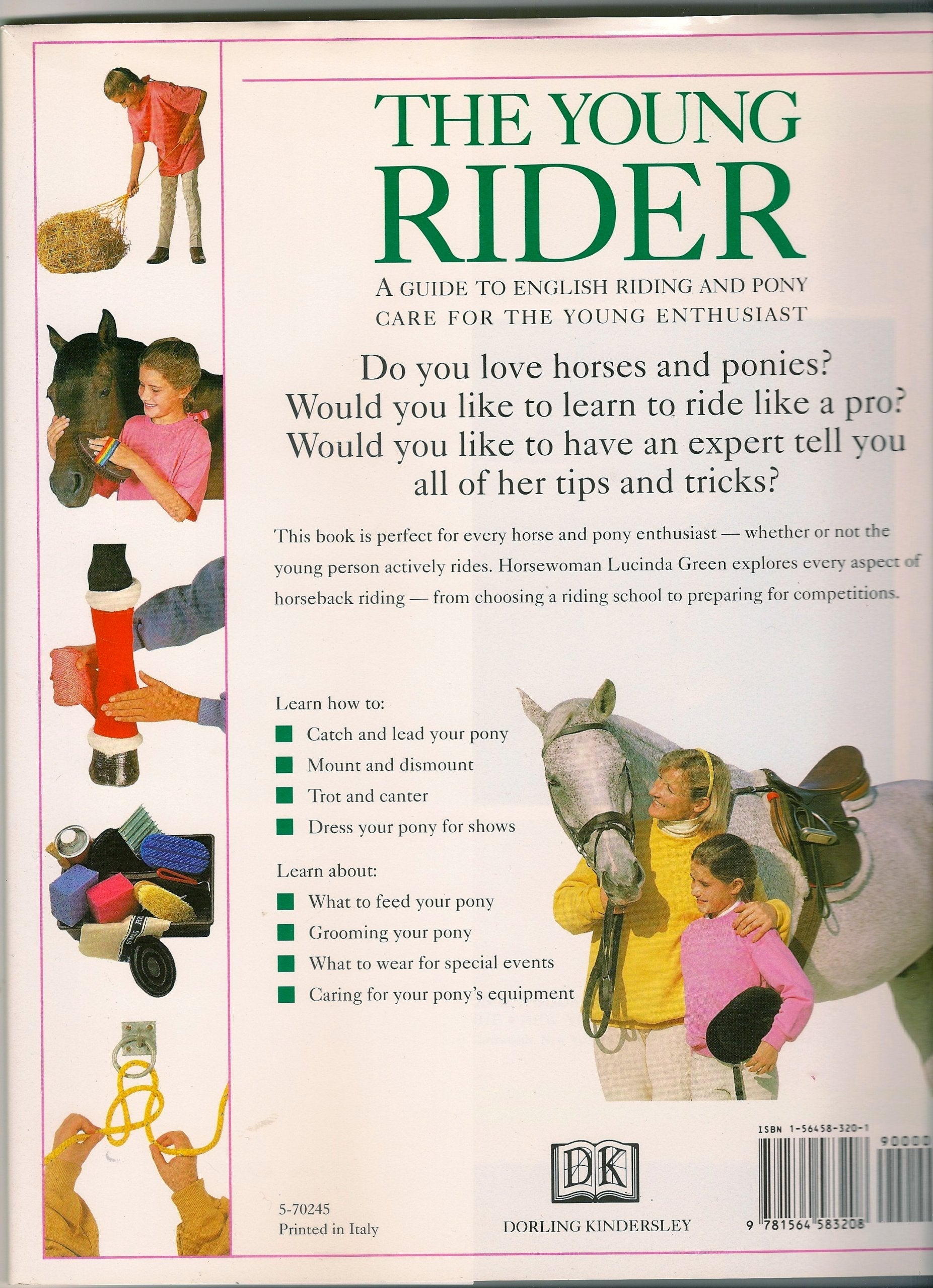 The Young Rider used book depot