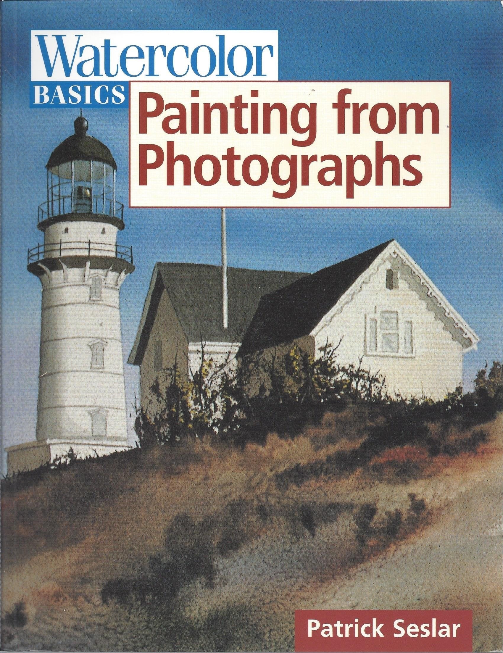 Painting From Photographs (Watercolor Basics) used book depot