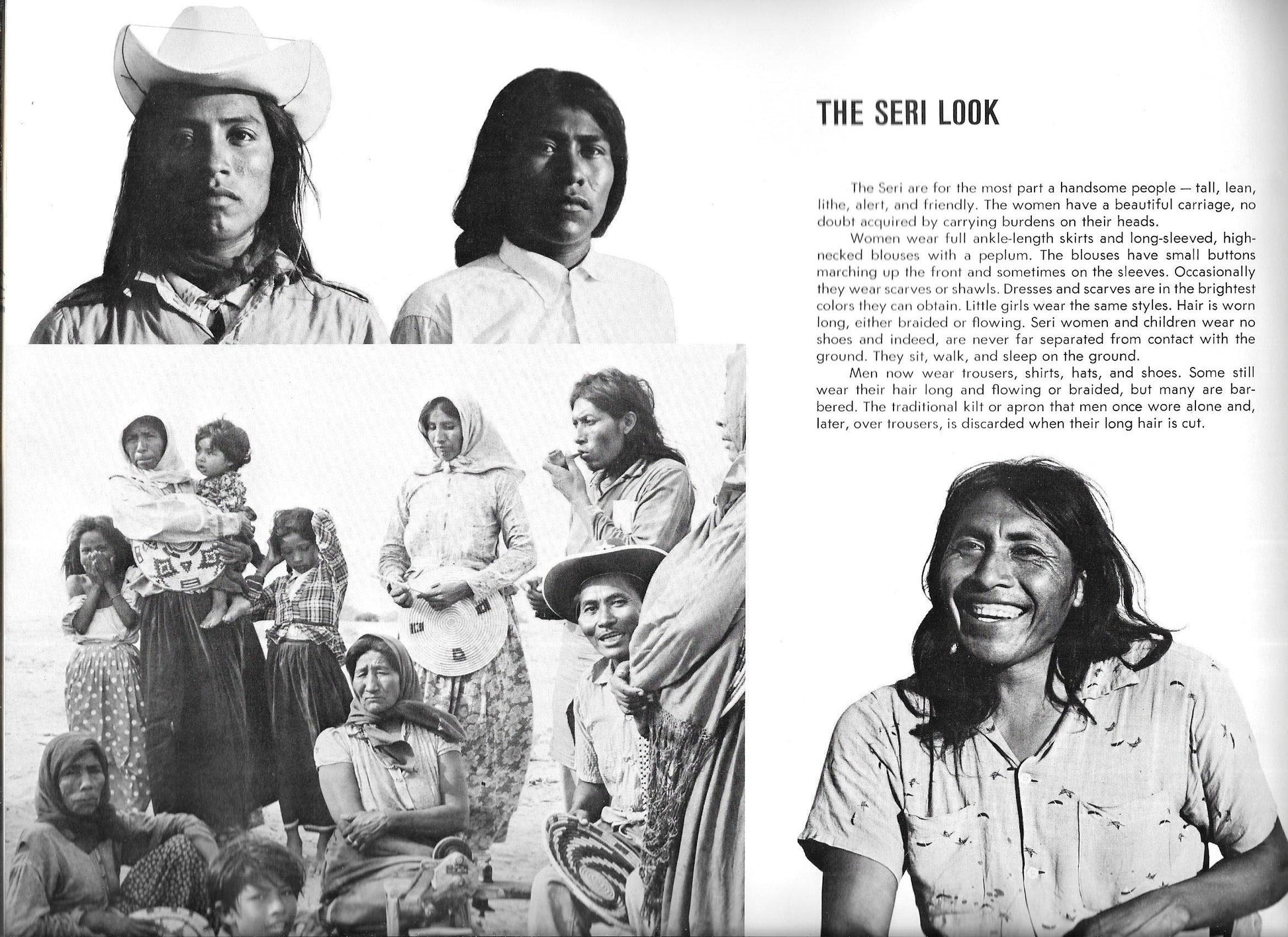 The Seri Indians of Sonora Mexico used book depot
