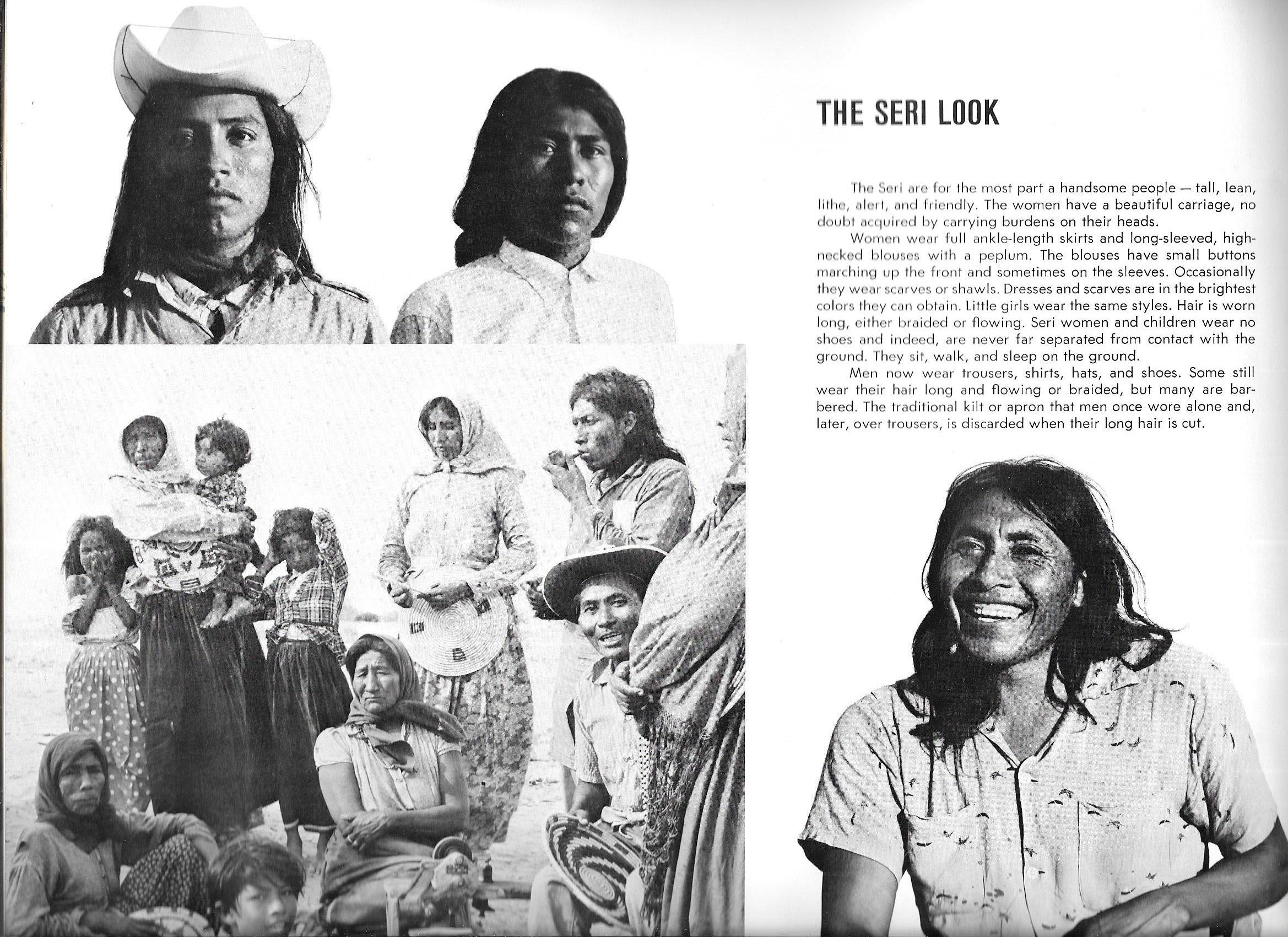The Seri Indians of Sonora Mexico used book depot