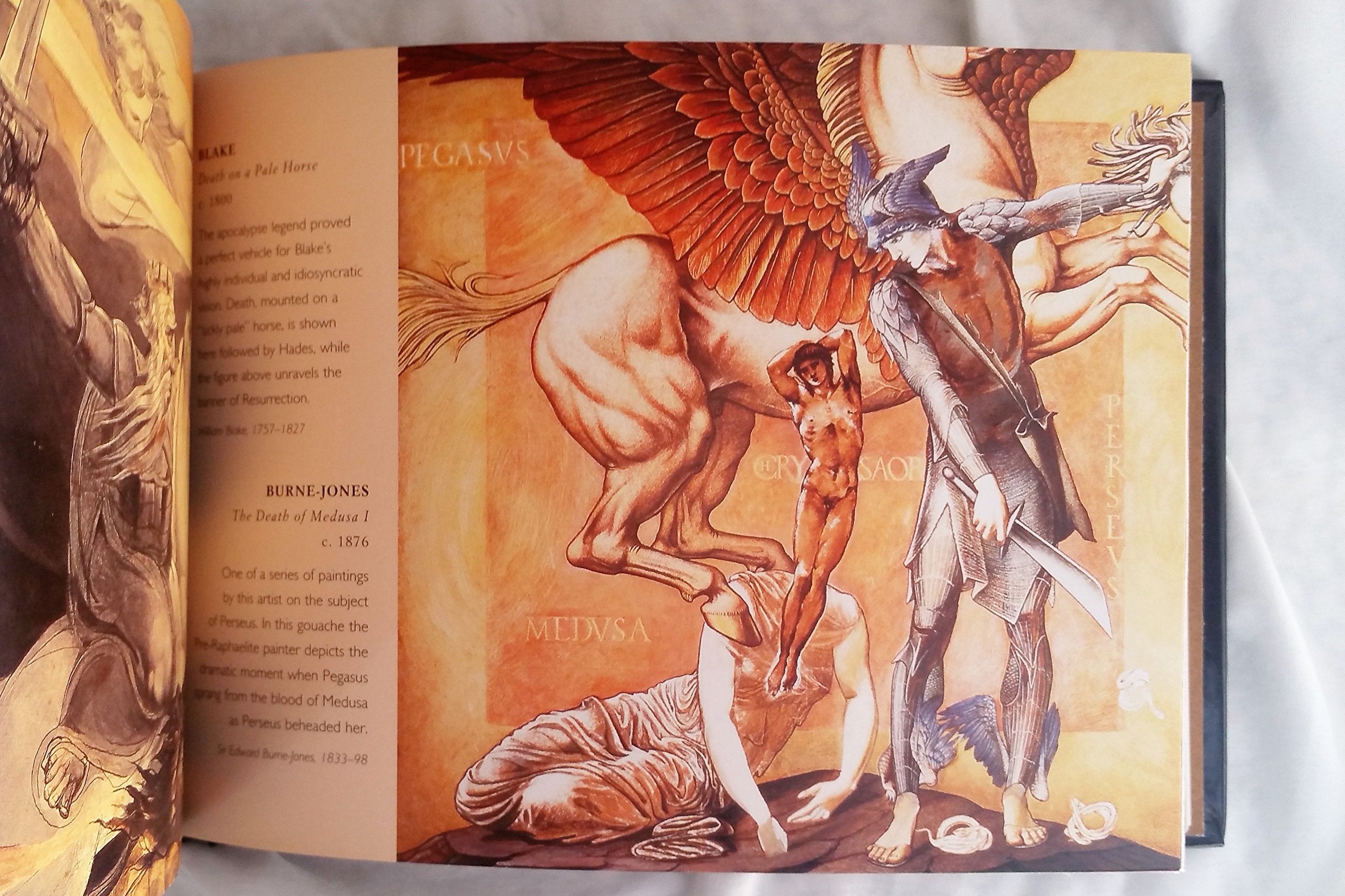Horse: From Noble Steeds to Beasts of Burden used book depot