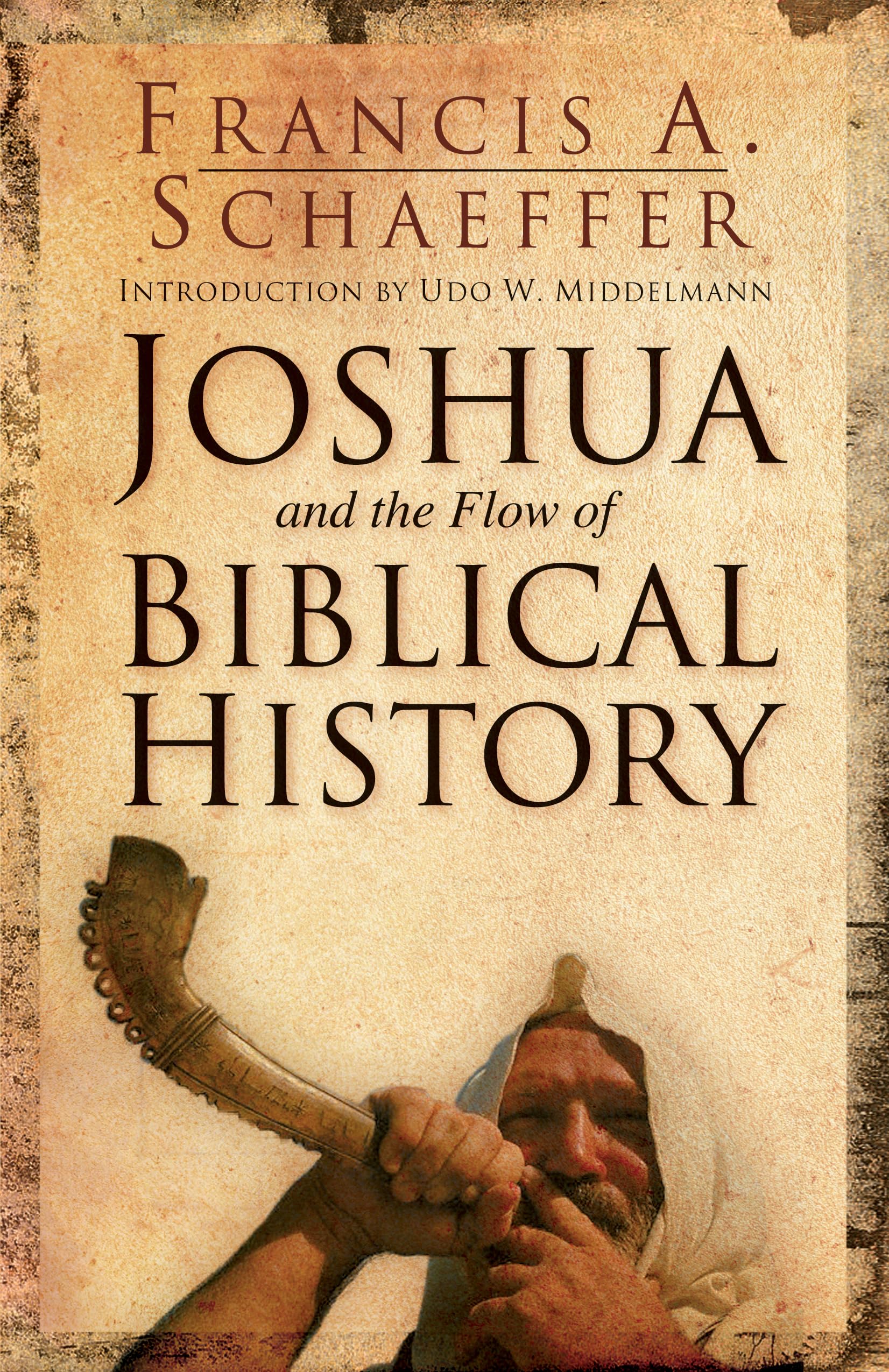 Joshua and the Flow of Biblical History used book depot