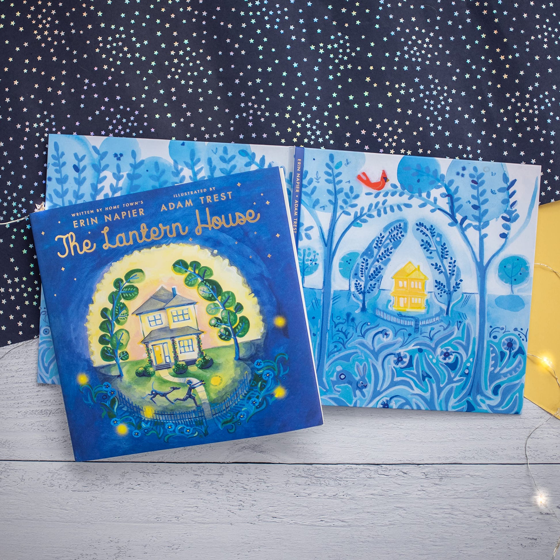 The Lantern House used book depot