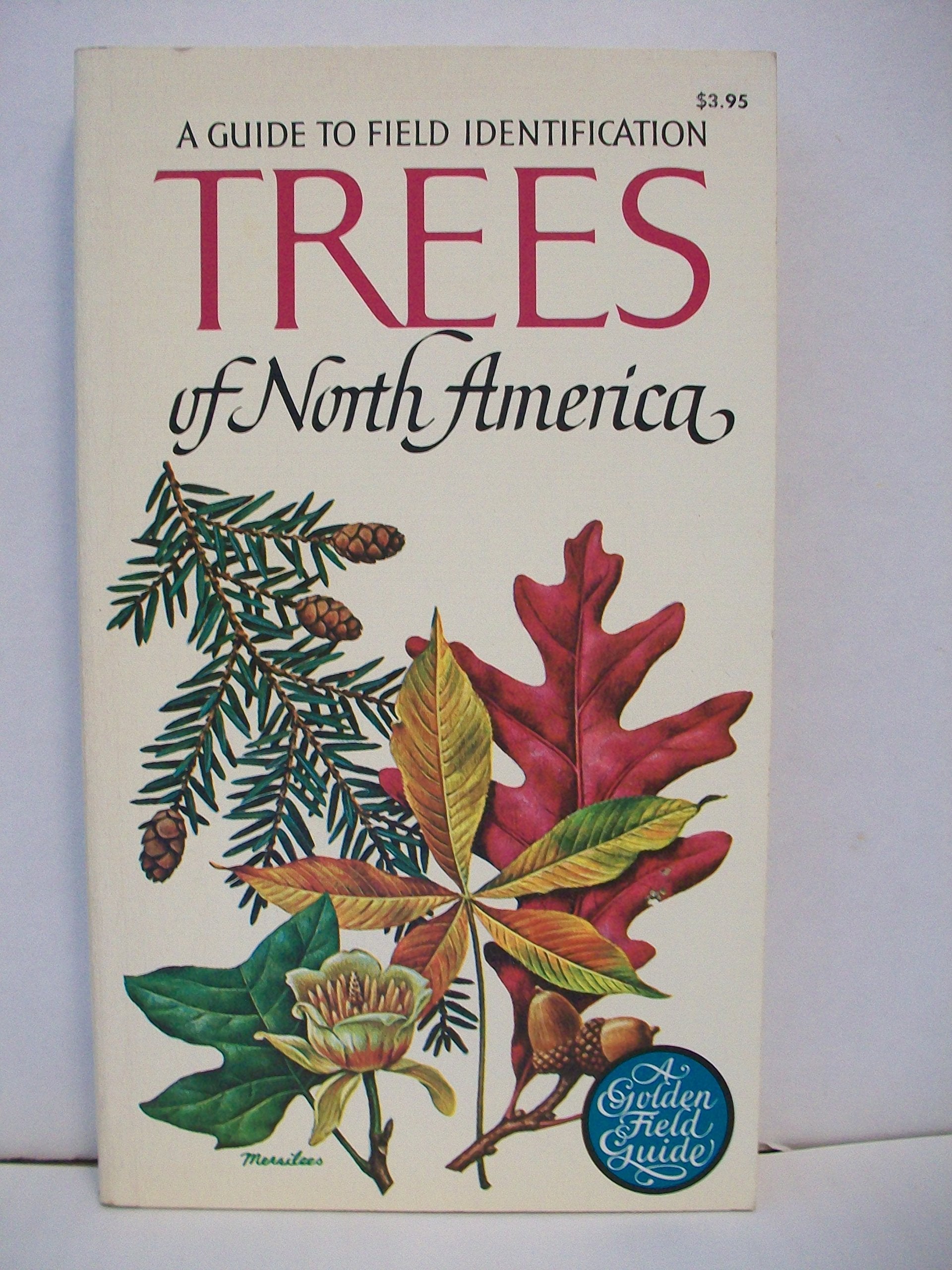 TREES OF NORTH AMERICA - A GUIDE TO FIELD IDENTIFICATION used book depot