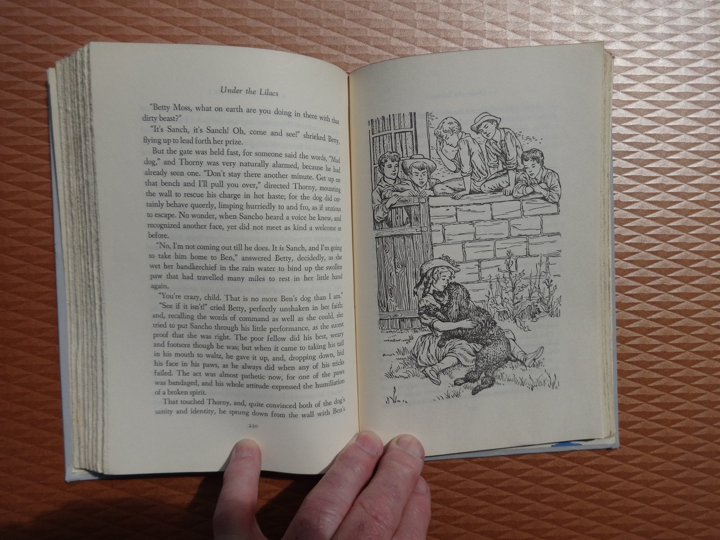 Under the Lilacs used book depot
