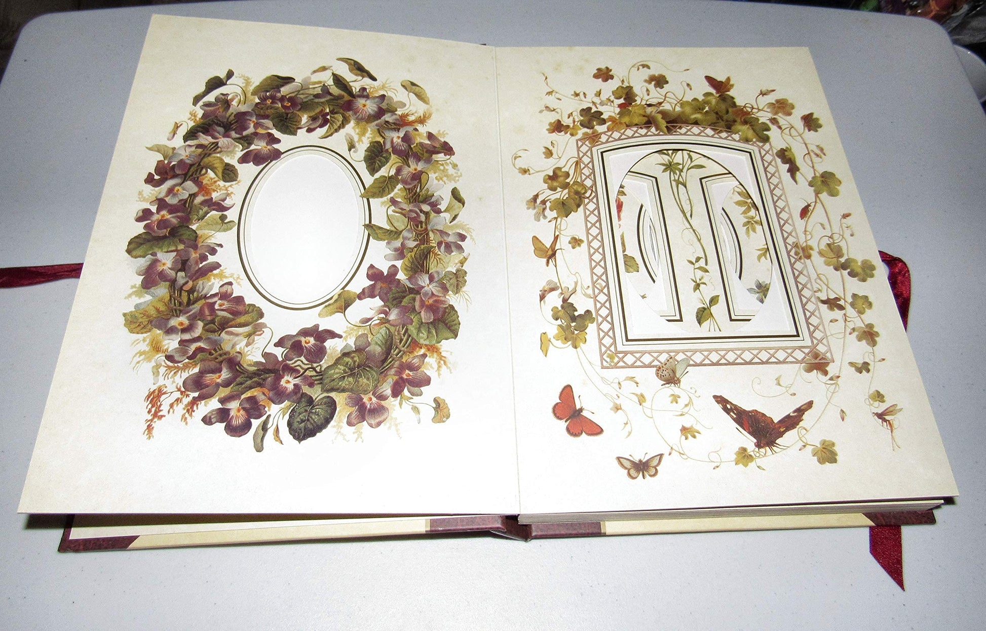 The Victorian Photograph Album: Large used book depot