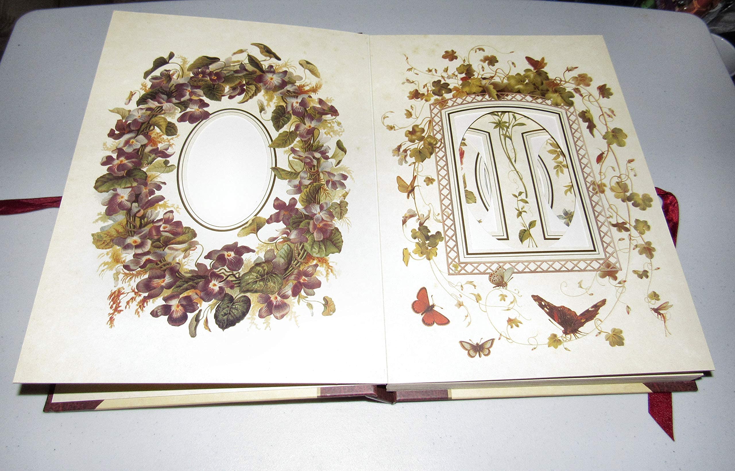 The Victorian Photograph Album: Large used book depot