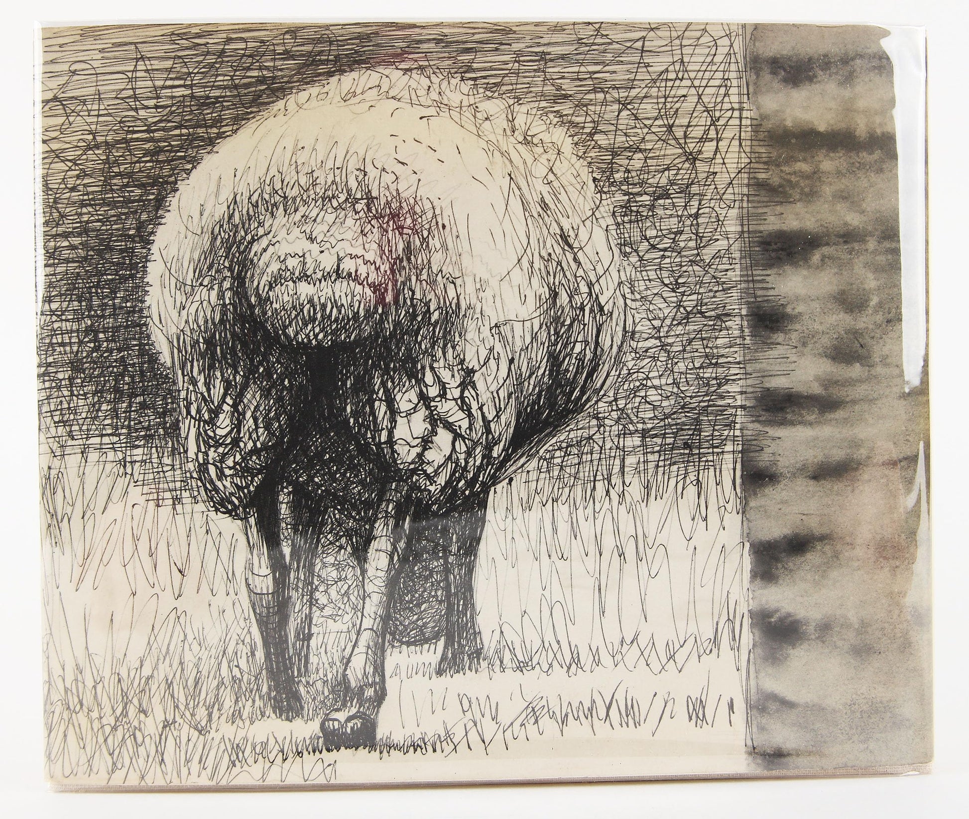 Henry Moore's Sheep Sketchbook used book depot