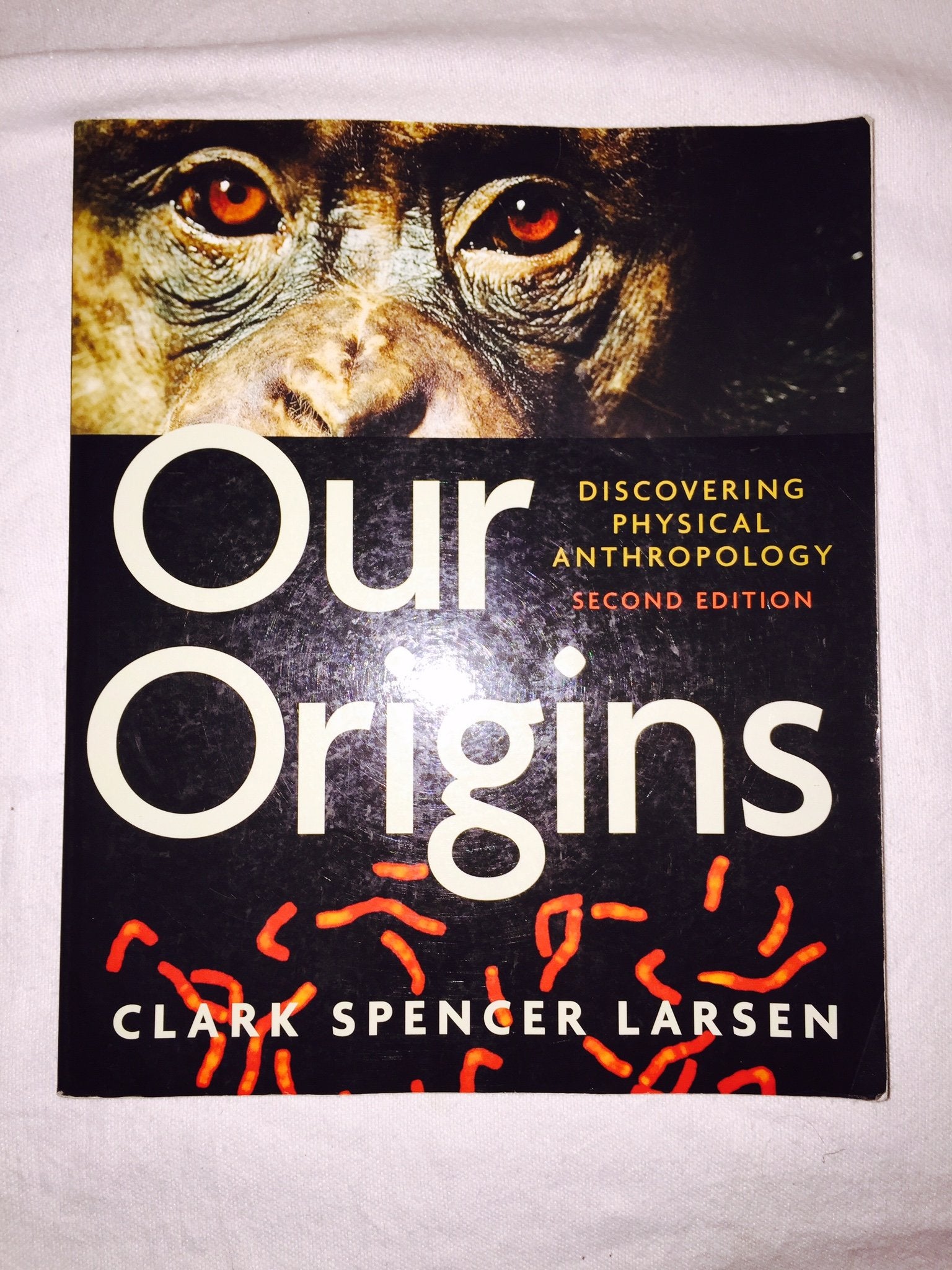 Our Origins: Discovering Physical Anthropology (Second Edition)