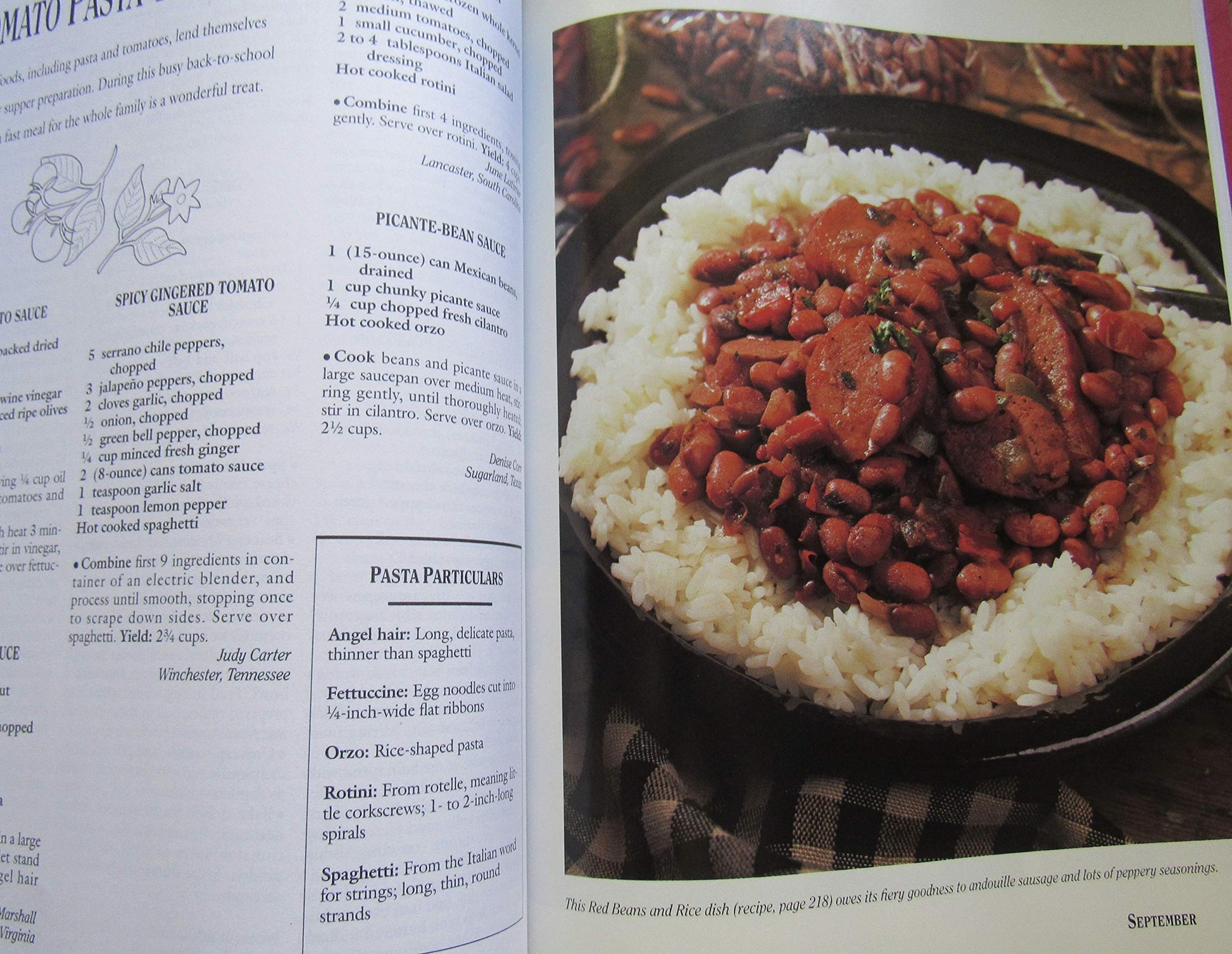 Southern Living 1996 Annual Recipes (Southern Living Annual Recipes) used book depot