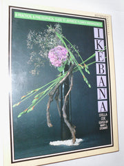 Ikebana: Practical Guide to Japanese Flower Arrangement used book depot