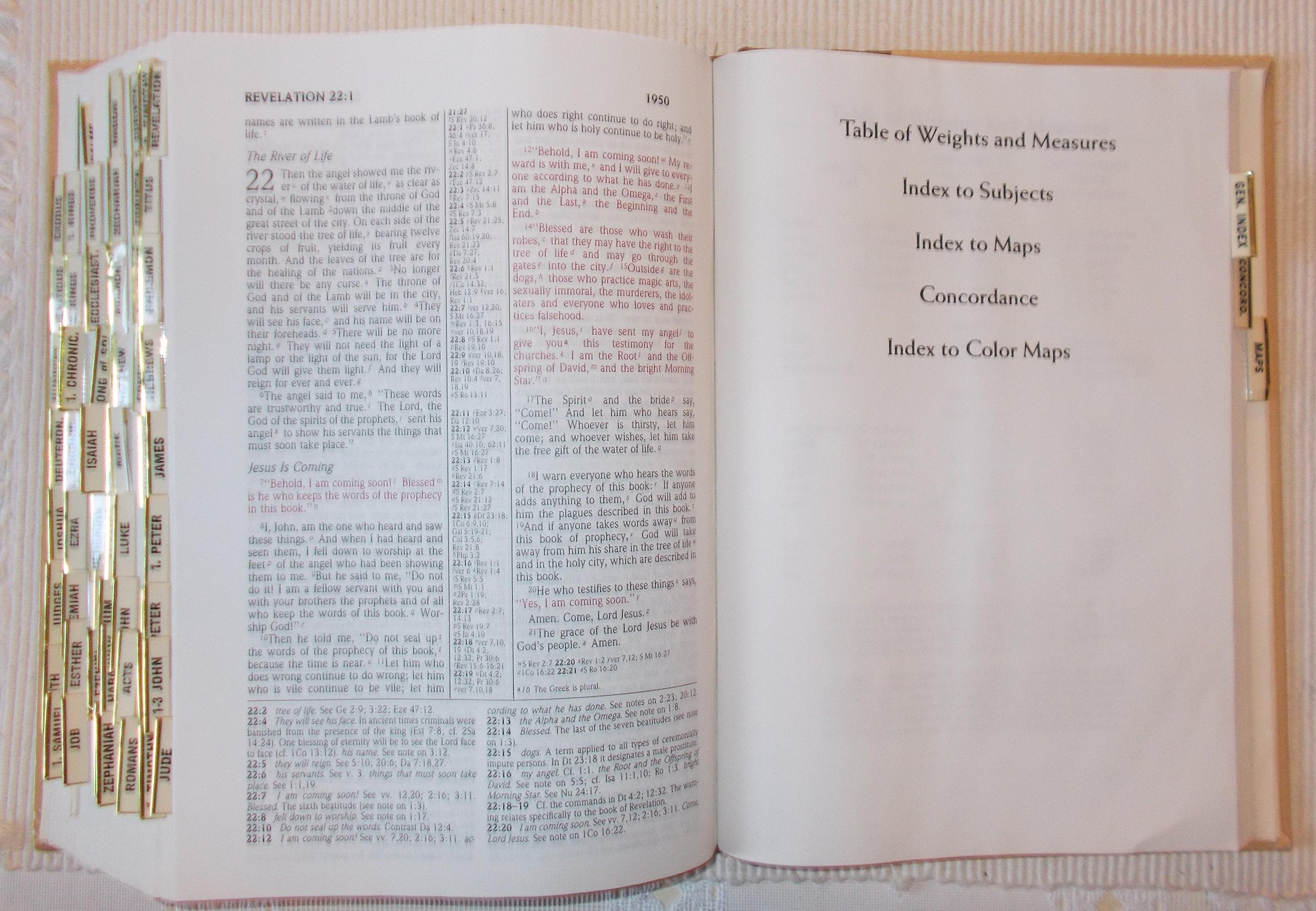 The NIV Study Bible: New International Version