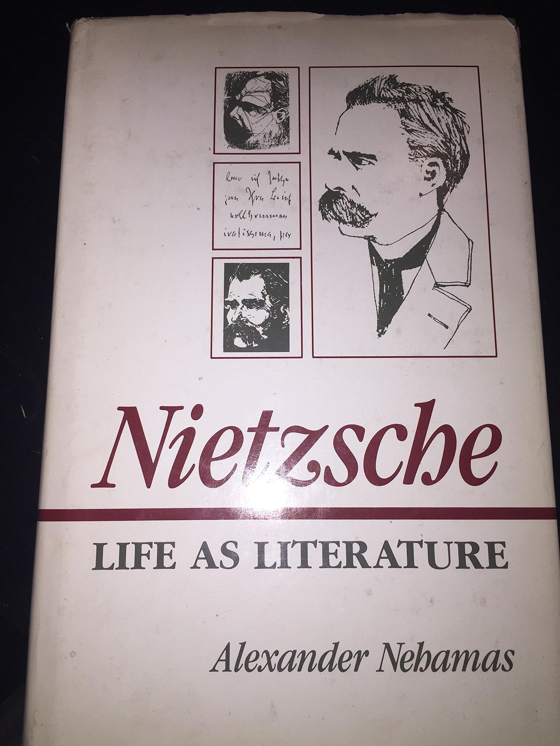 Nietzsche: Life as Literature used book depot