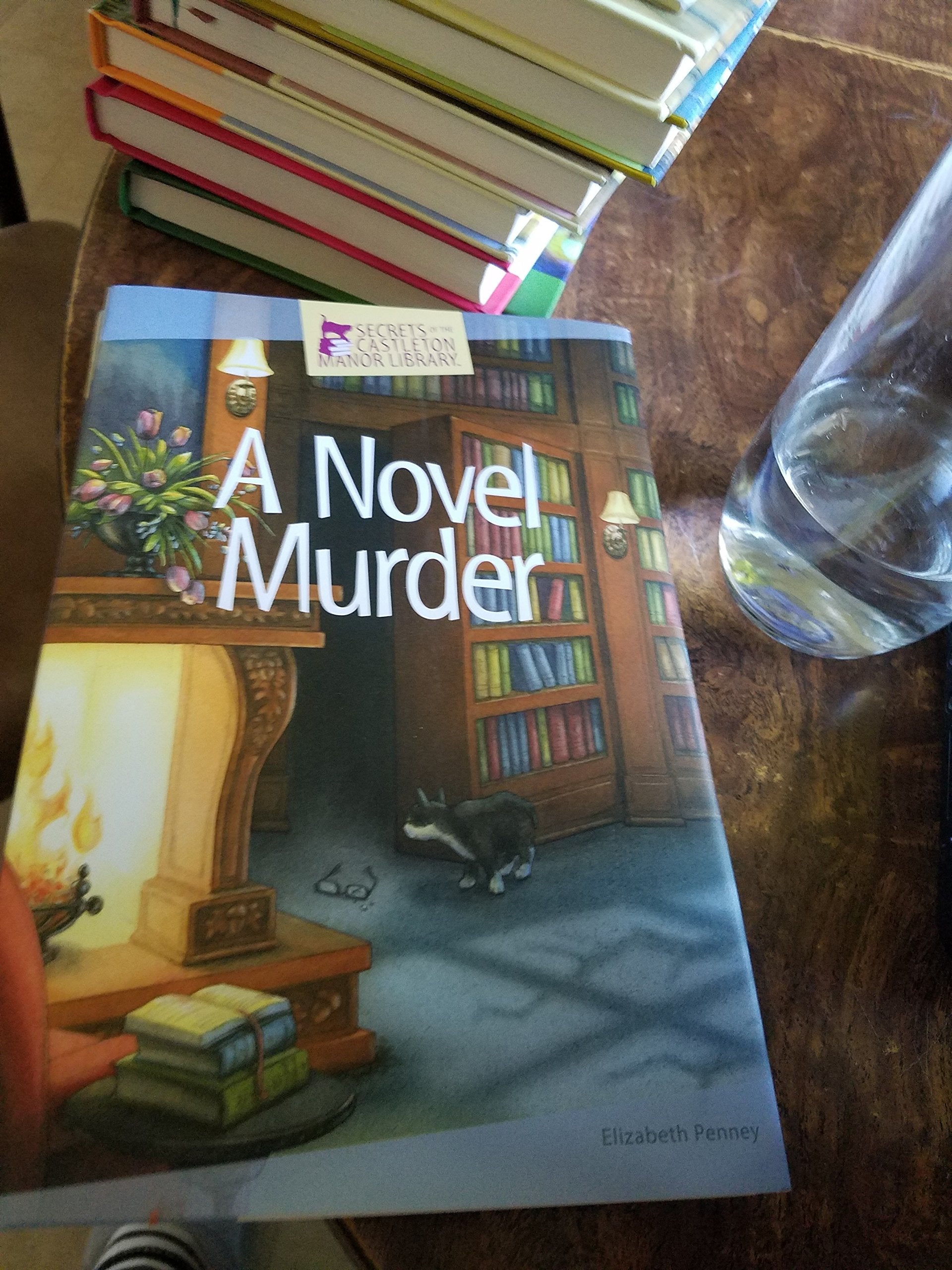 A Novel Murder used book depot