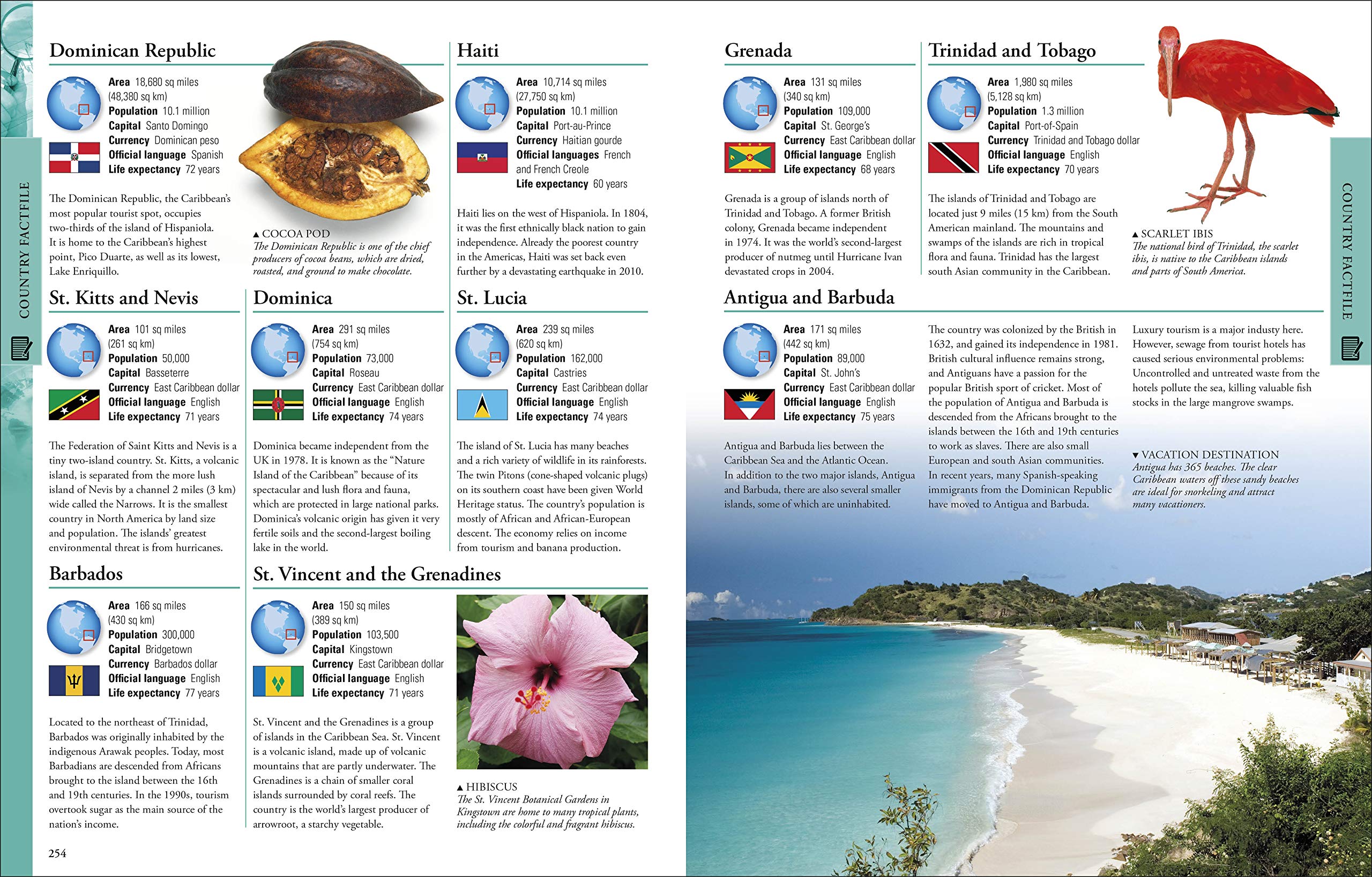 Geography: A Visual Encyclopedia (DK Children's Visual Encyclopedias) used book depot
